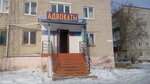 Адвокат Кирюшин А.К. (ulitsa Admirala Makarova, 33), attorney