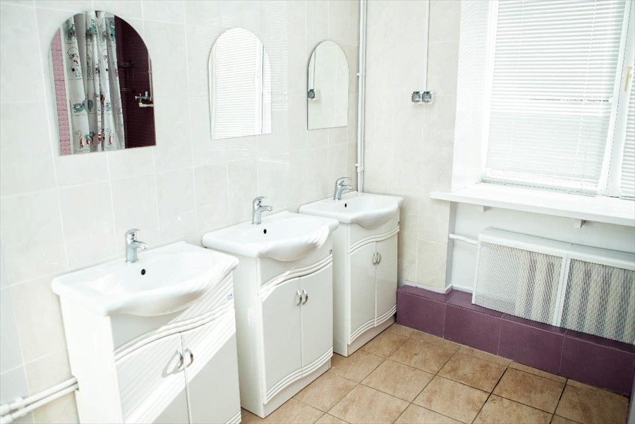 Фото Вежливый лось