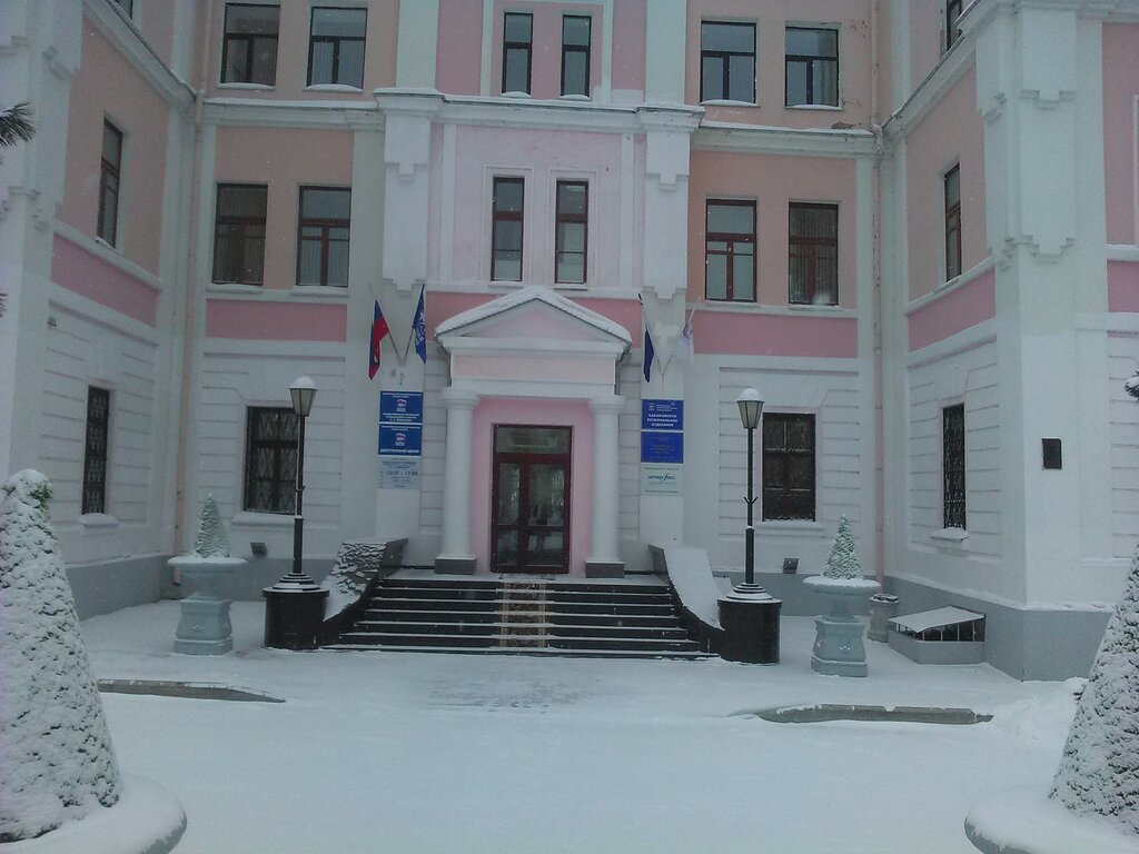 Organización pública Молодая Гвардия Единой России, , foto