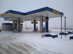 Mannol (derevnya Belyanitsy, 162А), gas station