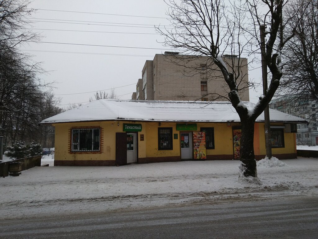 Grocery Tenisty, Chernyahovsk, photo
