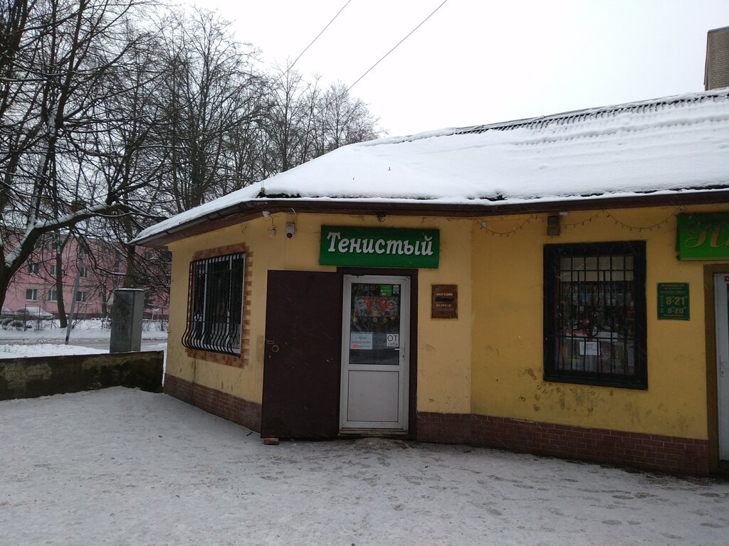 Grocery Tenisty, Chernyahovsk, photo