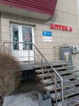 Zdorovye (Volodarskogo Street, 29) ، صيدلية