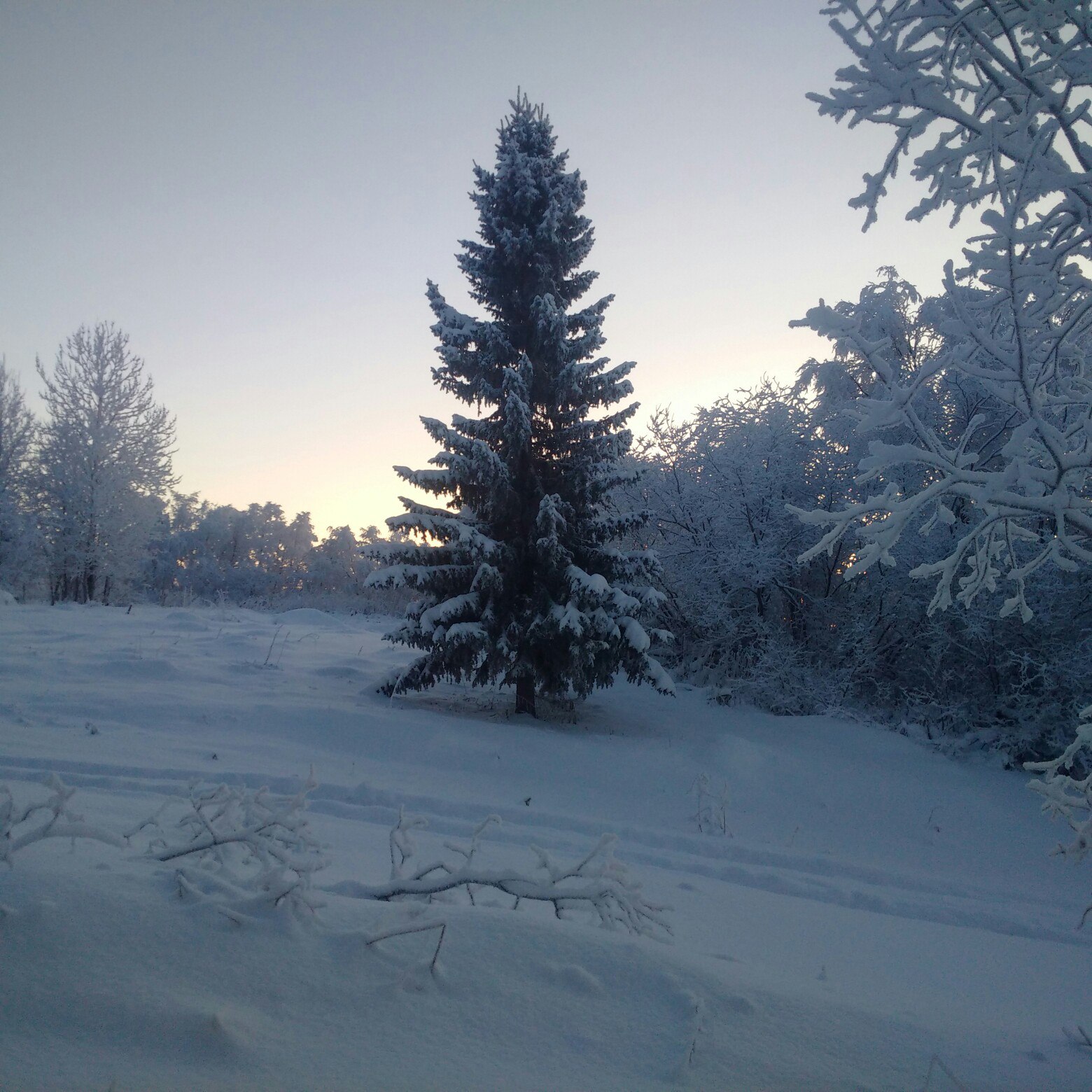 Фото Гольфстрим