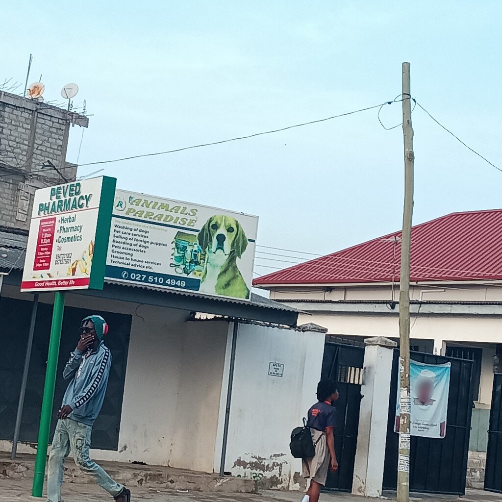 Pet salon Animals Paradise, Earth, photo