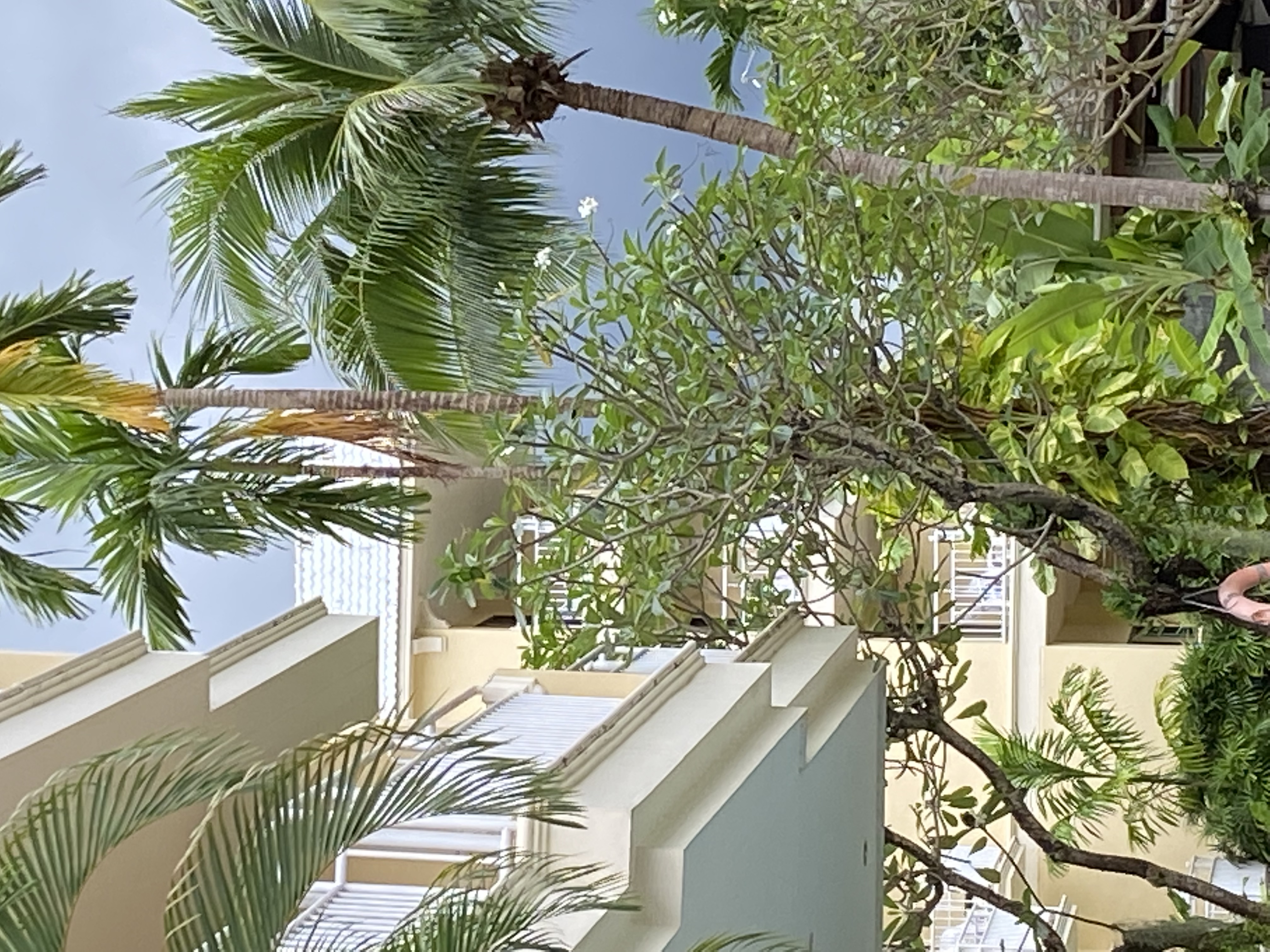 Фото The Village Resort & SPA