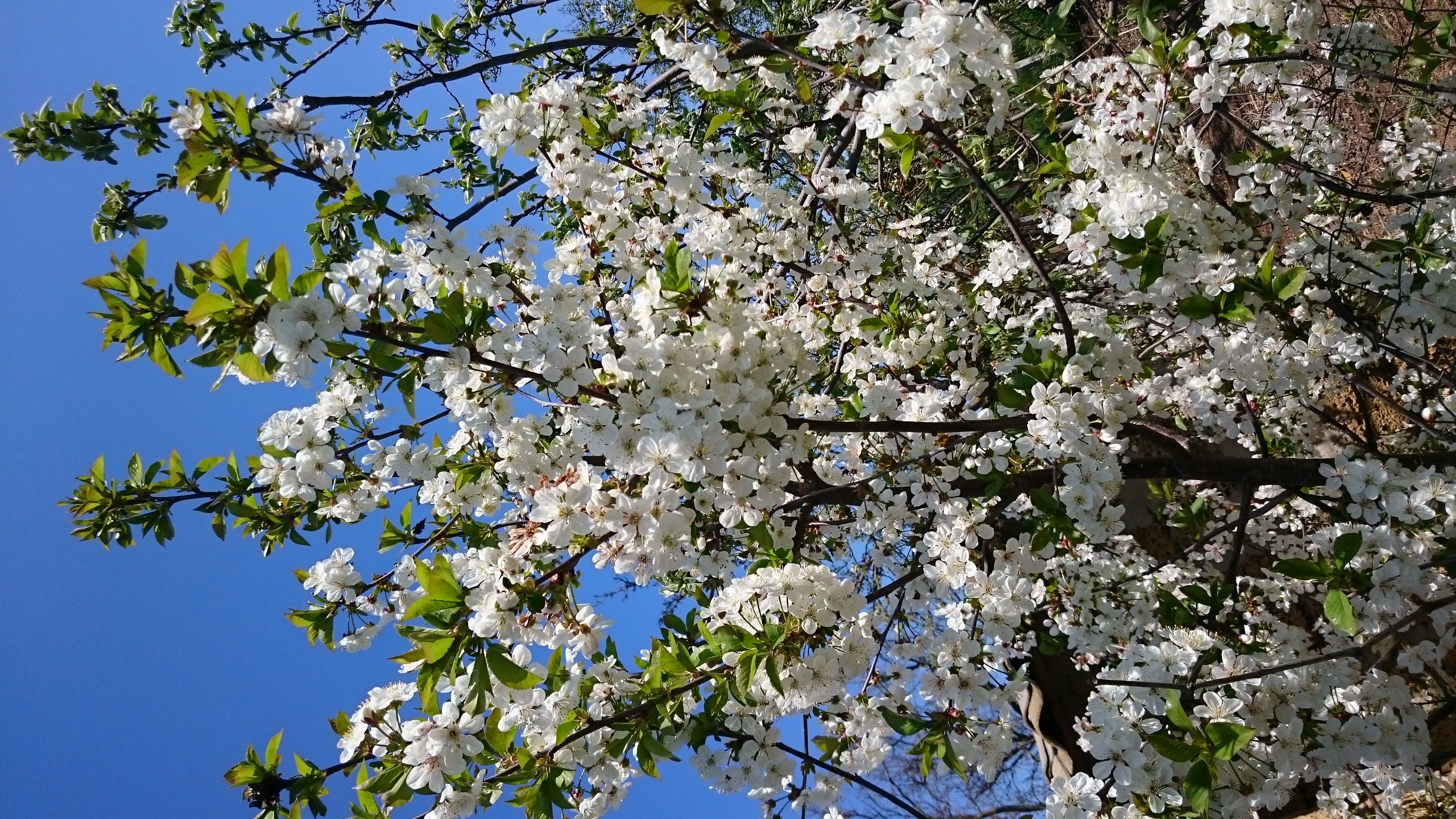 Фото ТО, что надо!