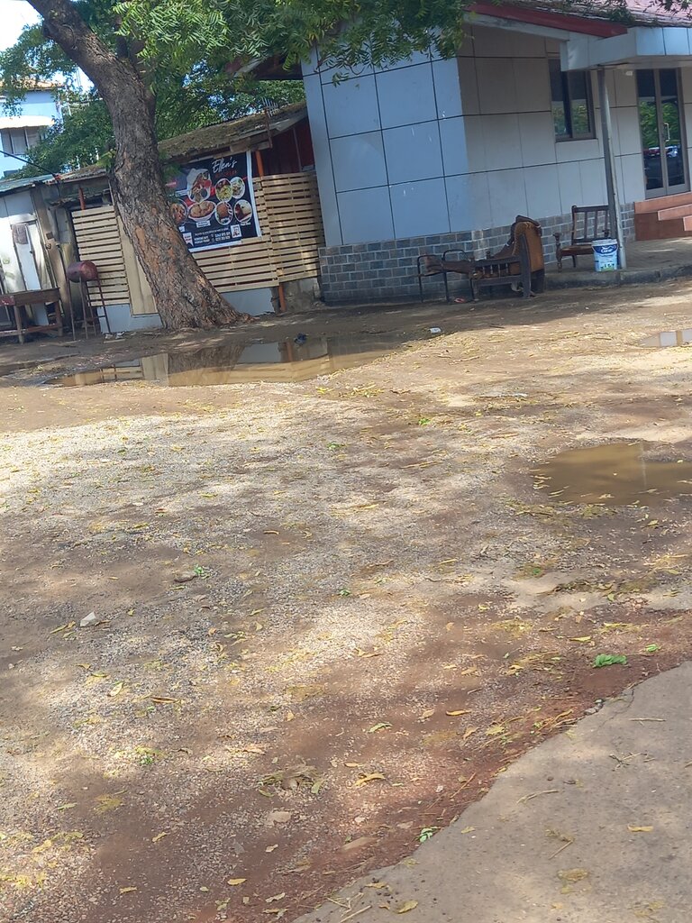 Fast food Ellens, Earth, photo