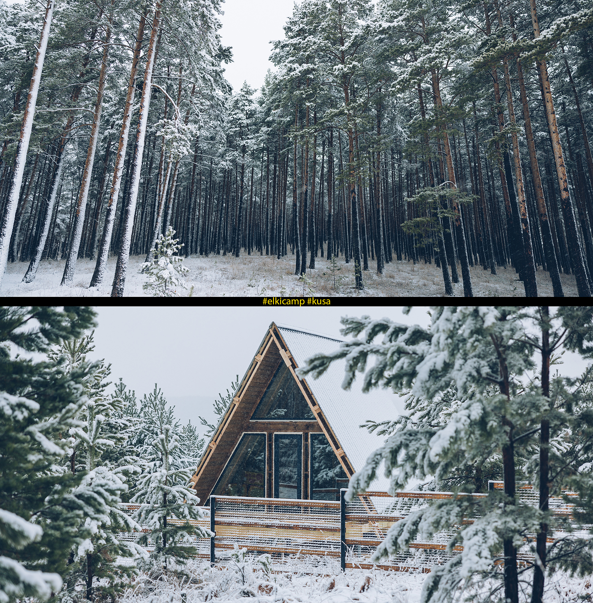 Фото Ёлки Кэмп