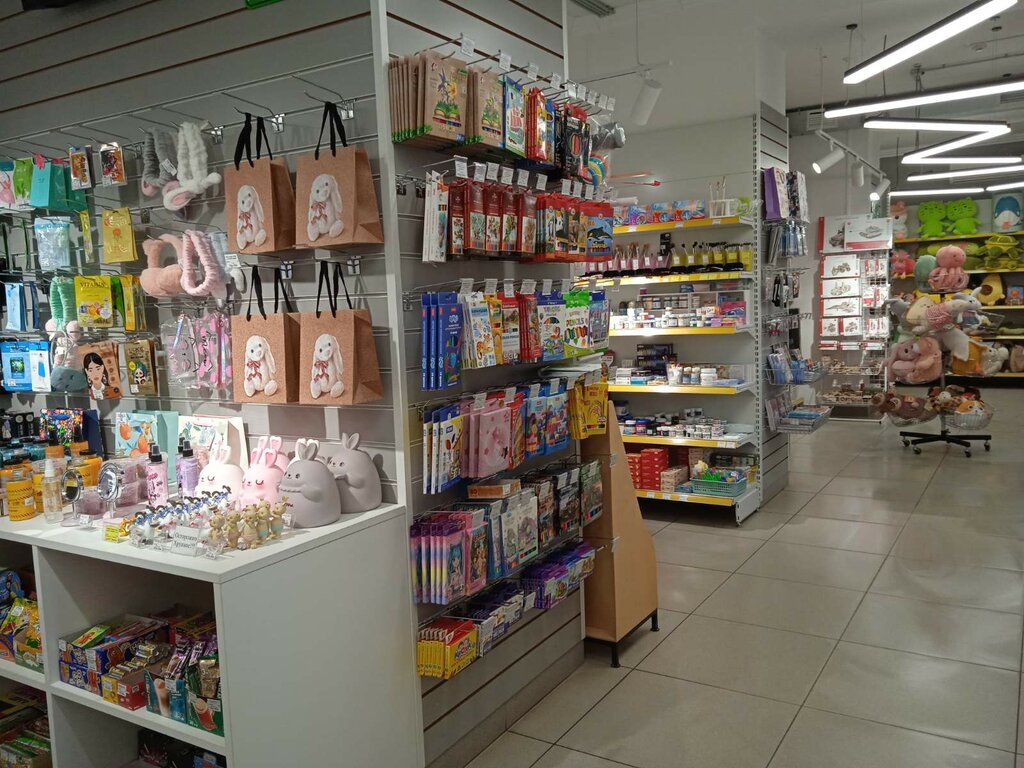 Stationery store Chernilnitsa, Penza, photo