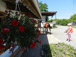 Celebniy Essentuki (ulitsa Fridrikha Engelsa, 62), club de caballos