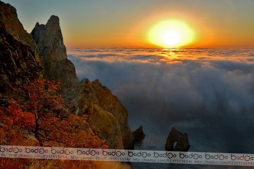 Фото У Елены