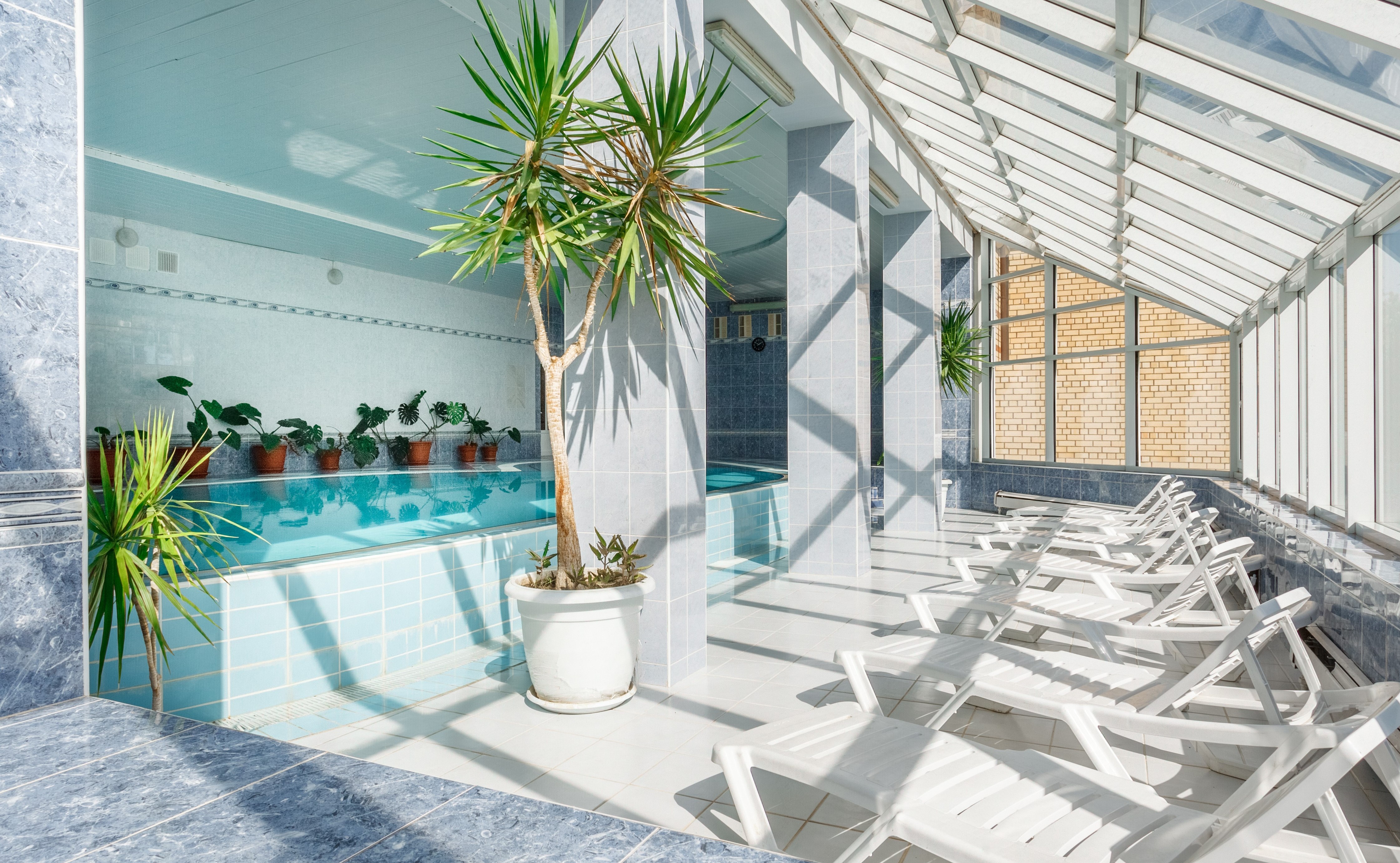 Фото Спутник