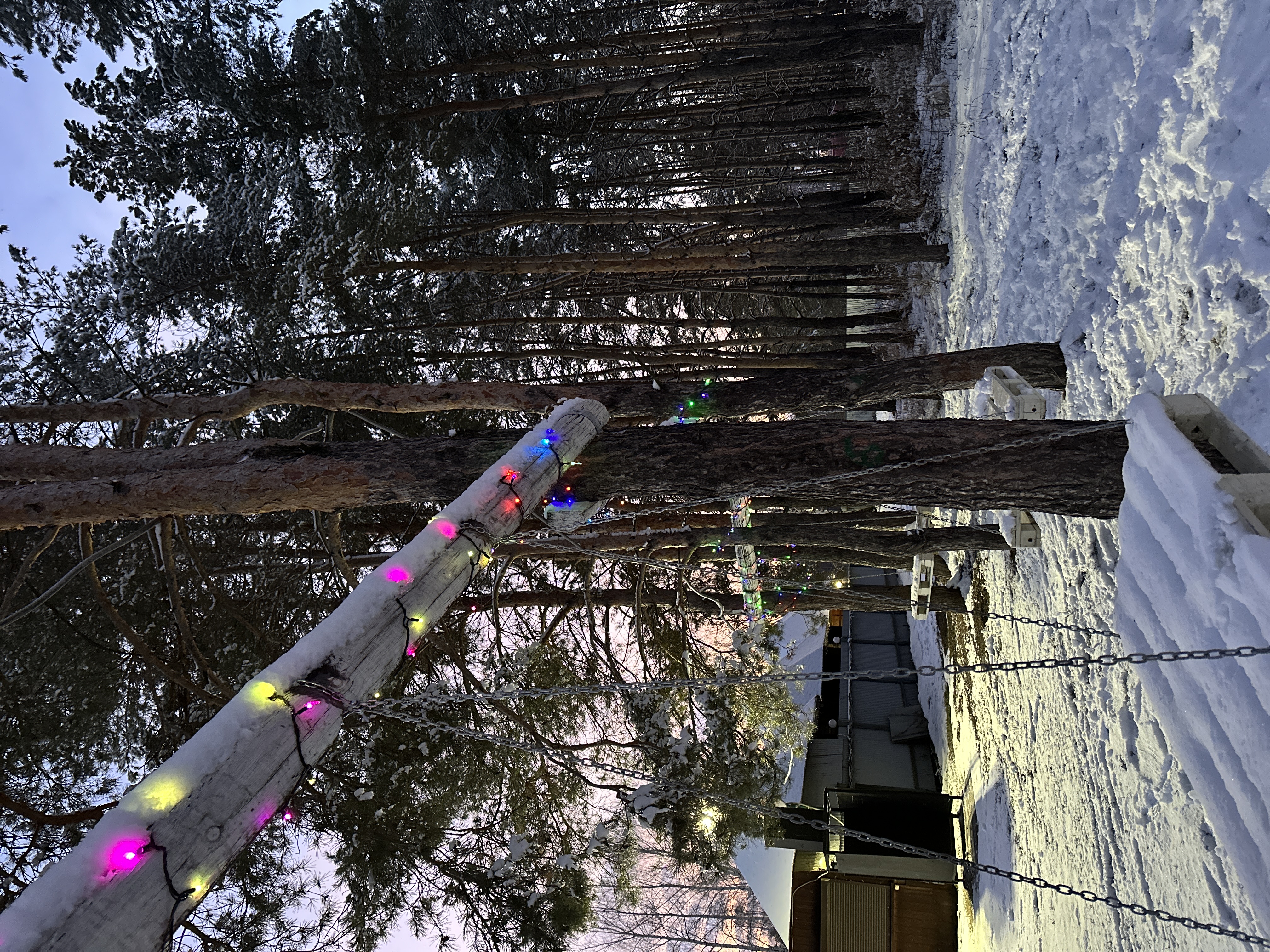 Фото Лесная гавань