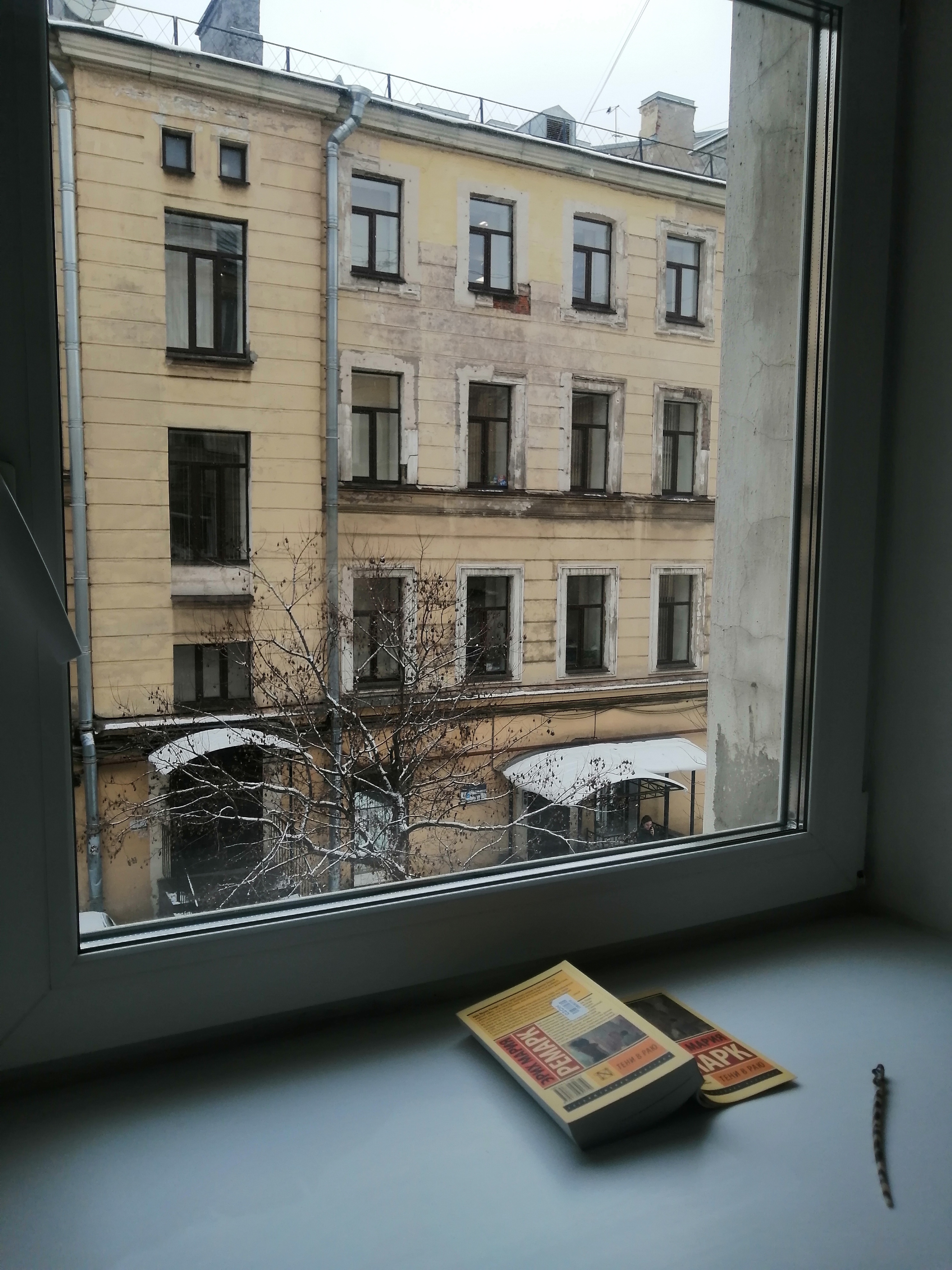 Фото Variant Halo