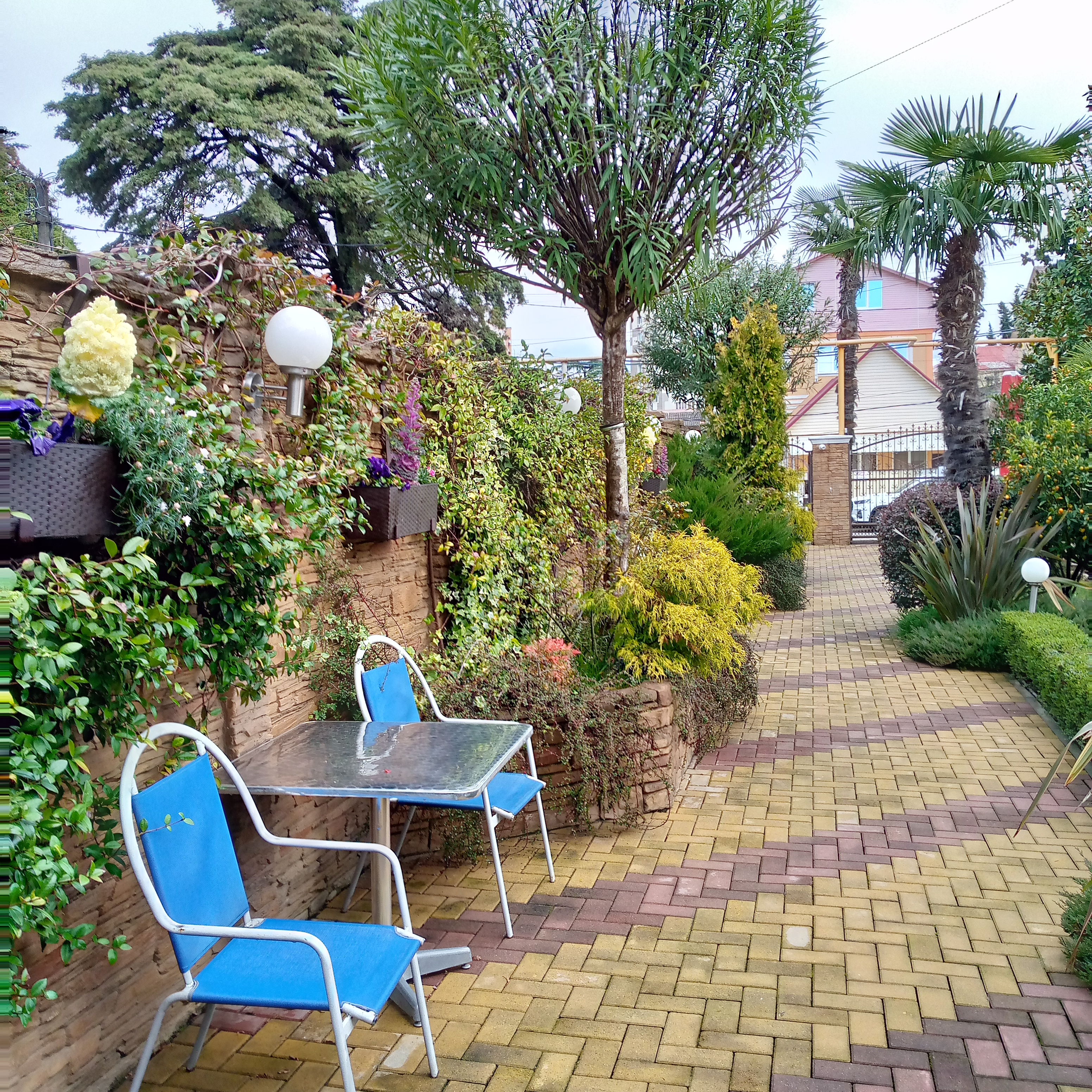 Фото Дельфин