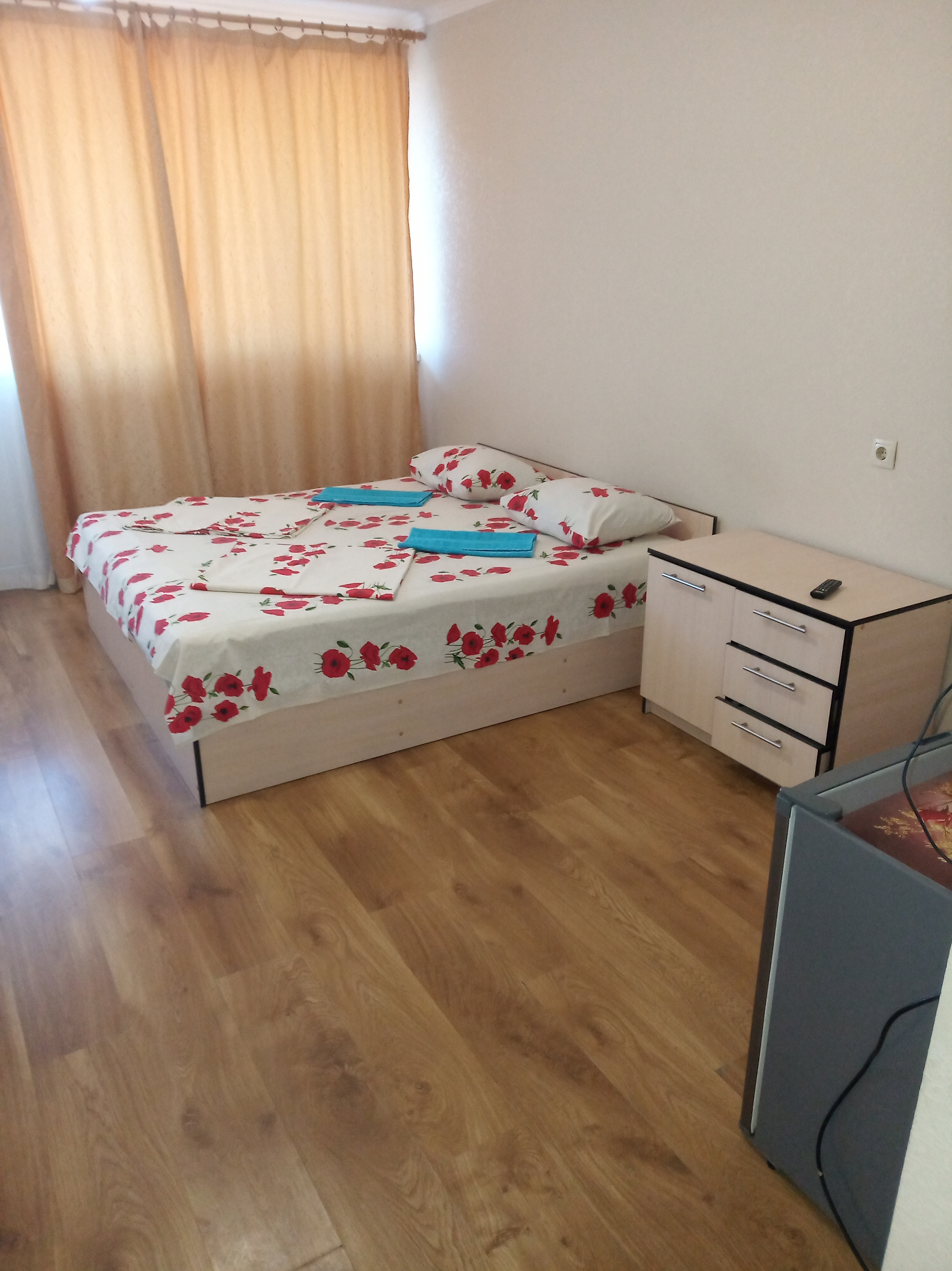 Фото Дельфин