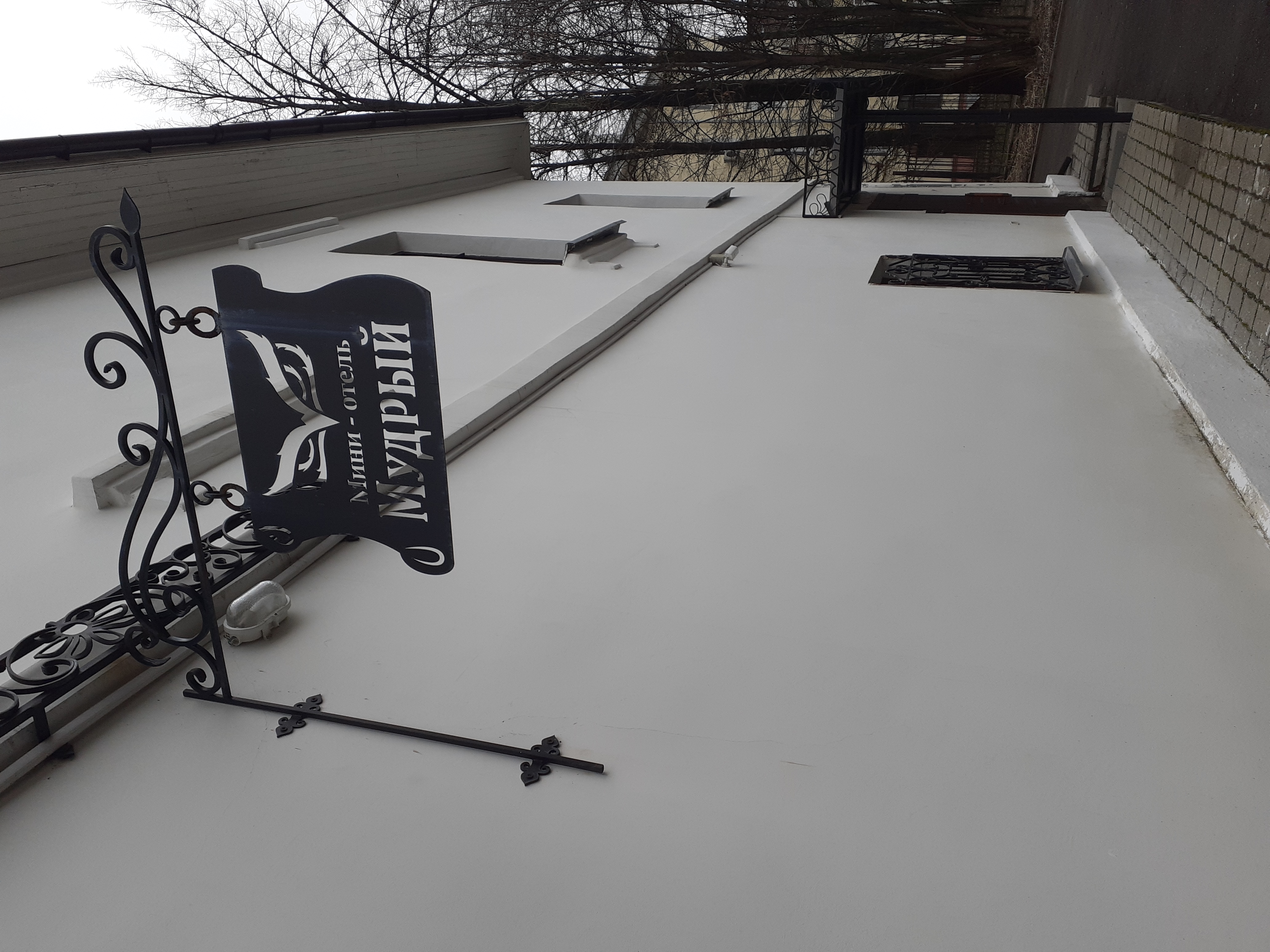 Фото Мудрый Филин