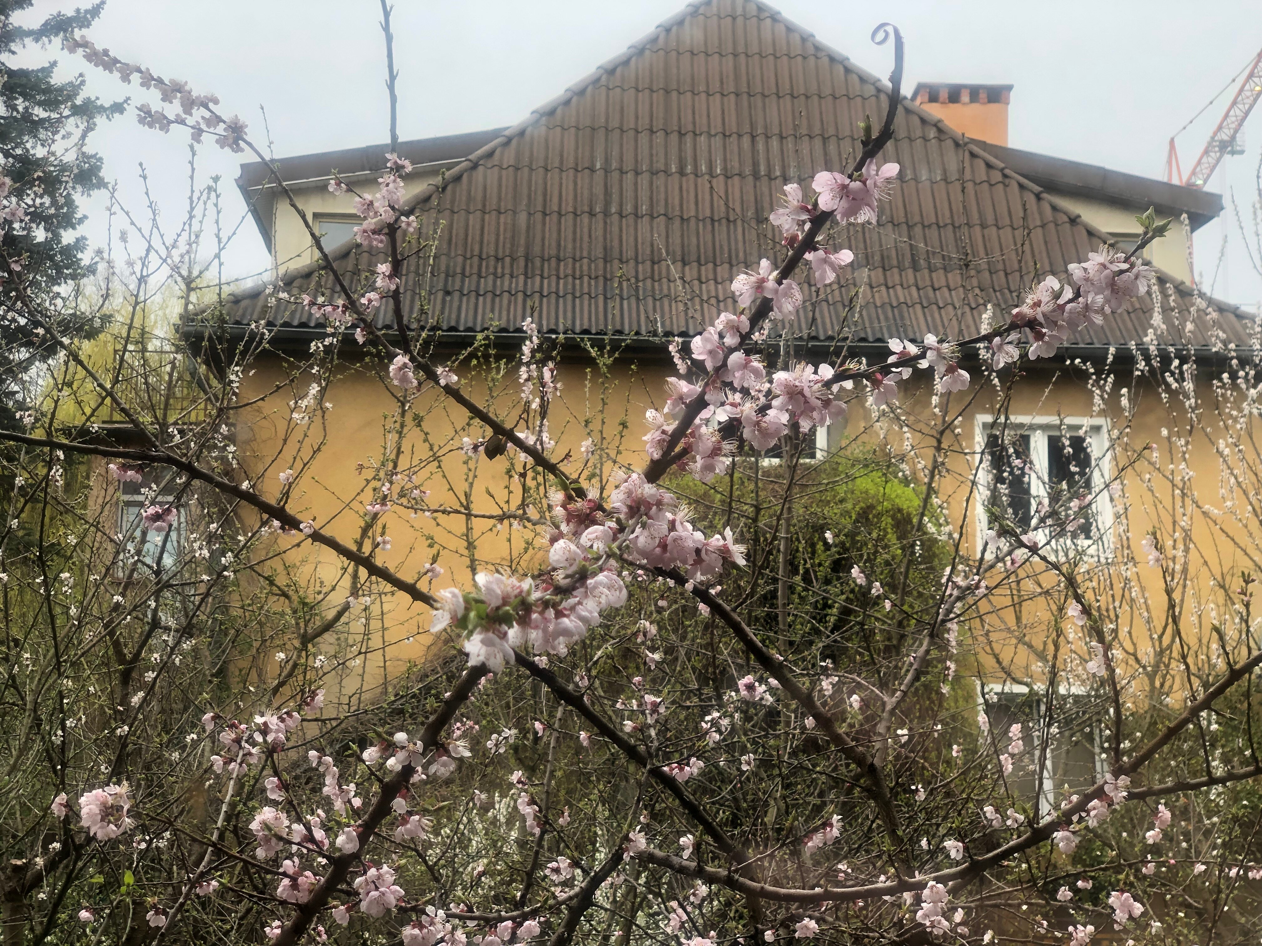 Фото Бэсэдэр