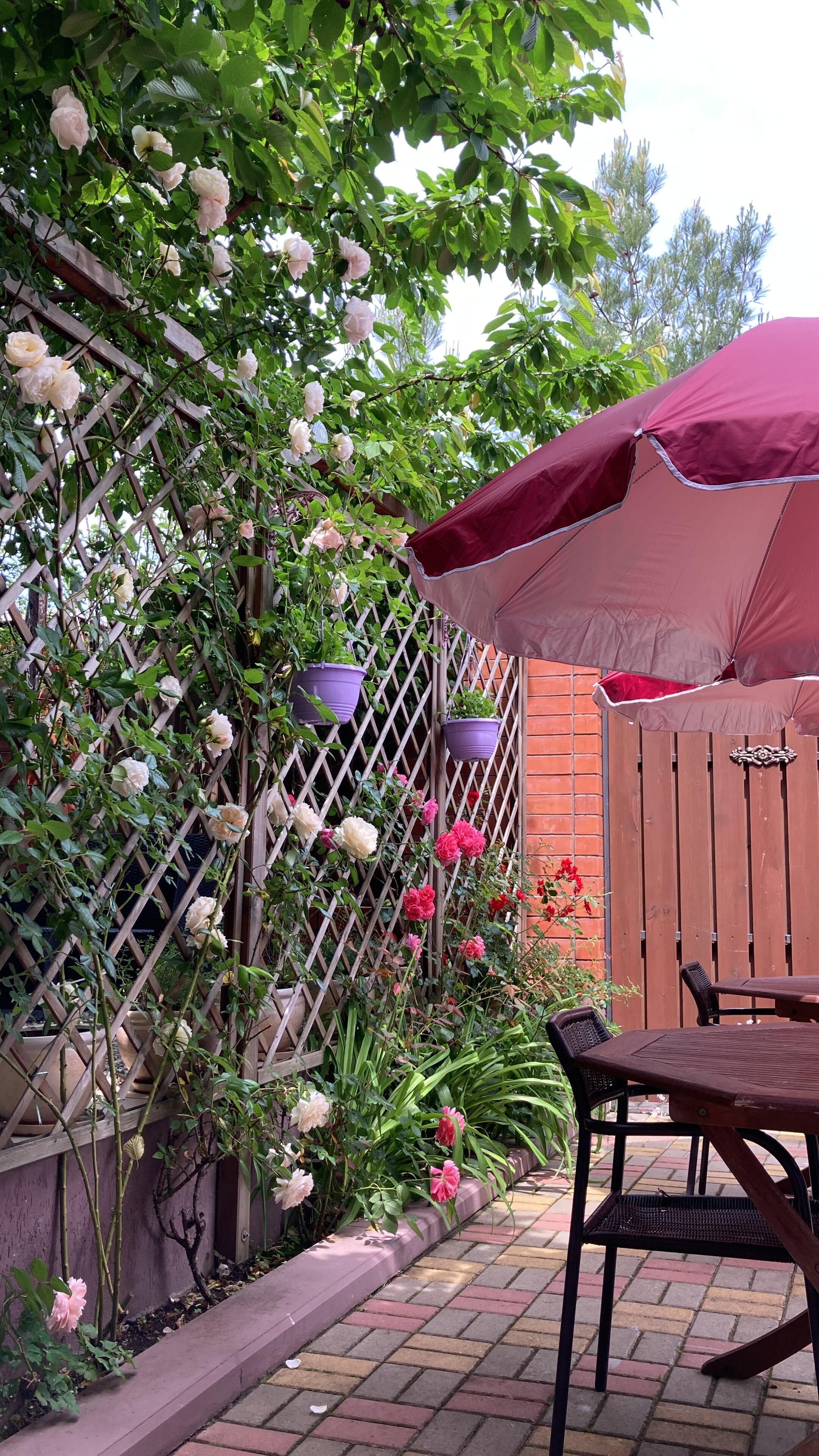 Фото Любимый дом