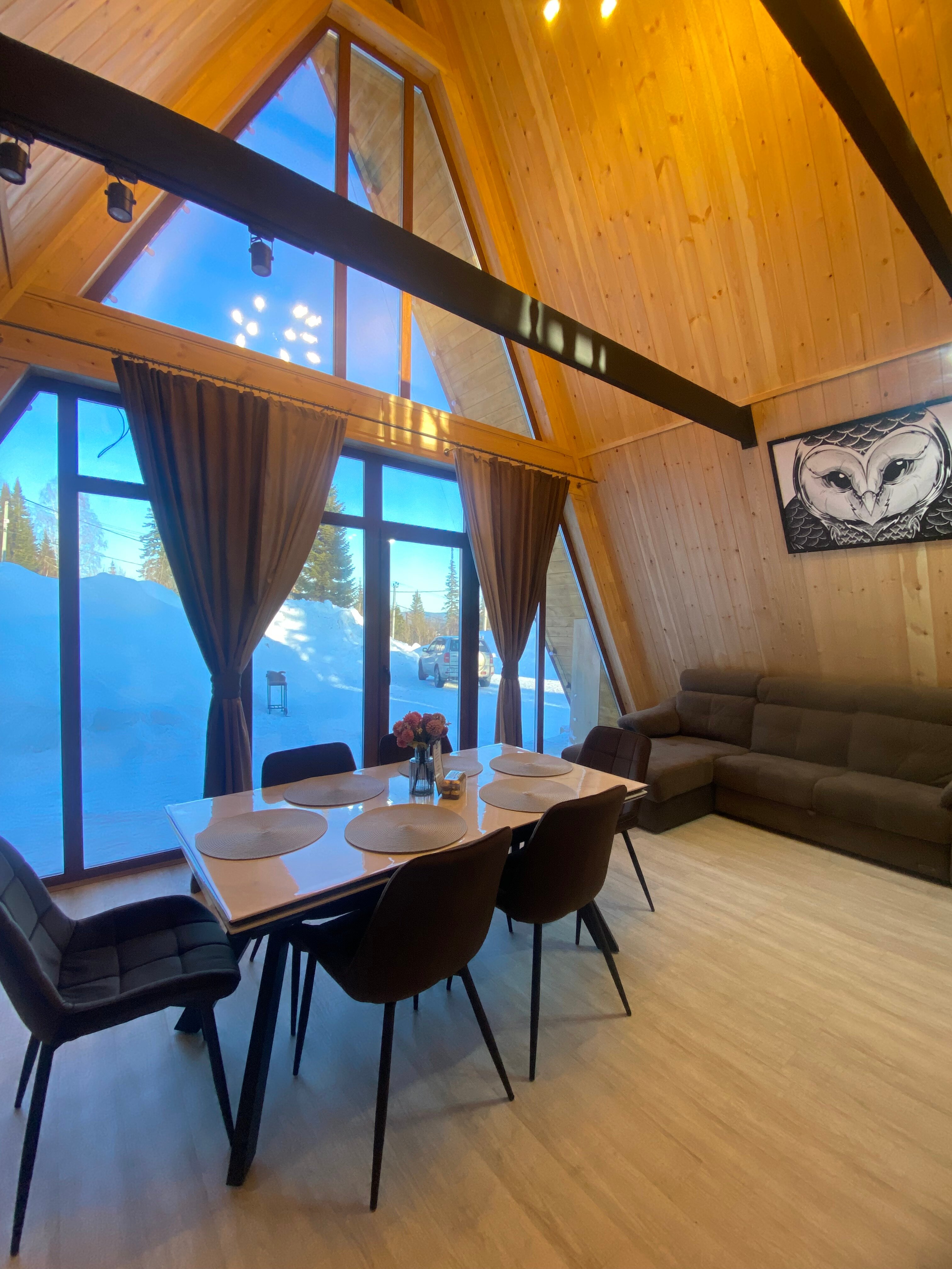 Фото Снежная сова