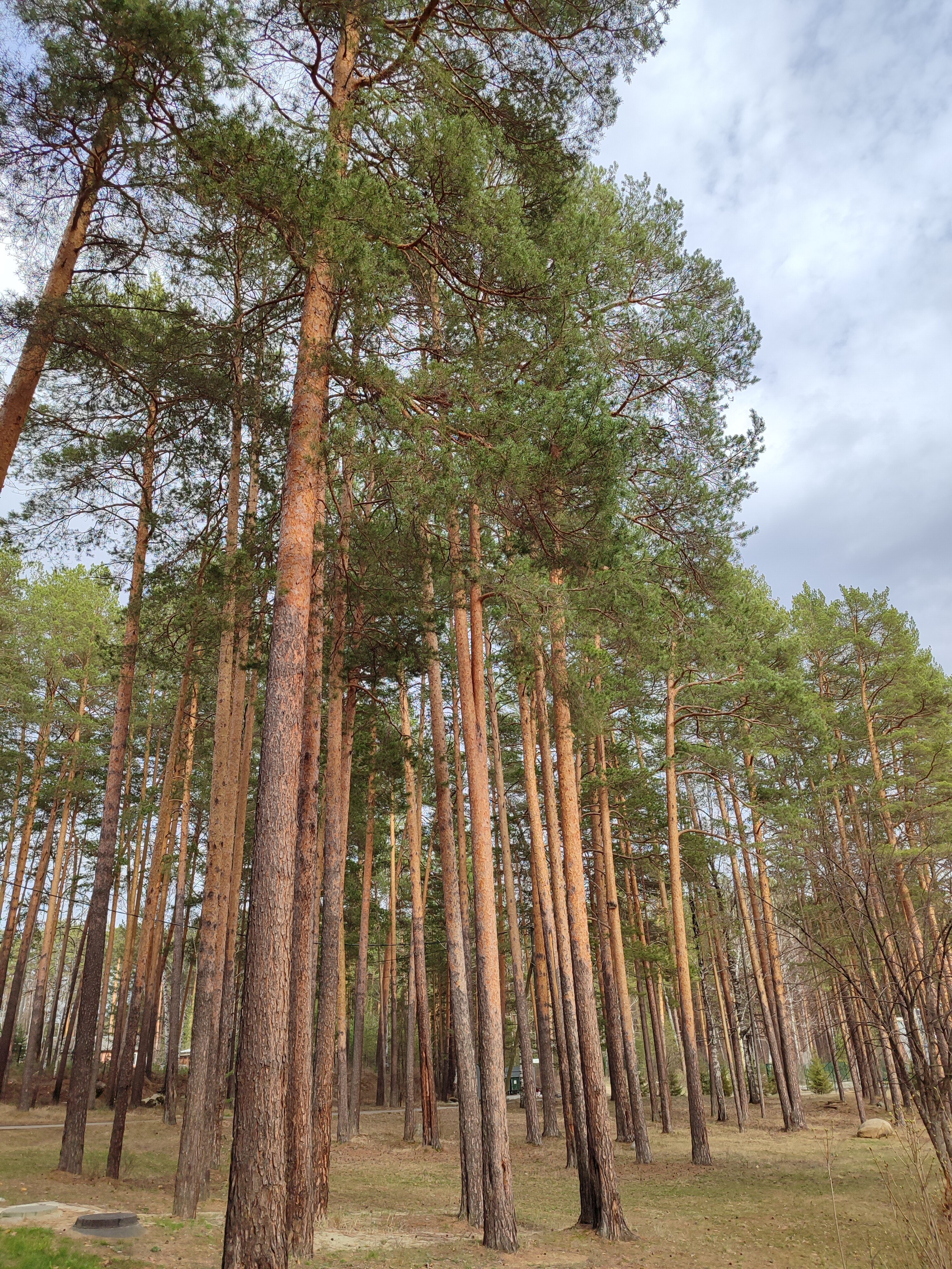 Фото Белый камень