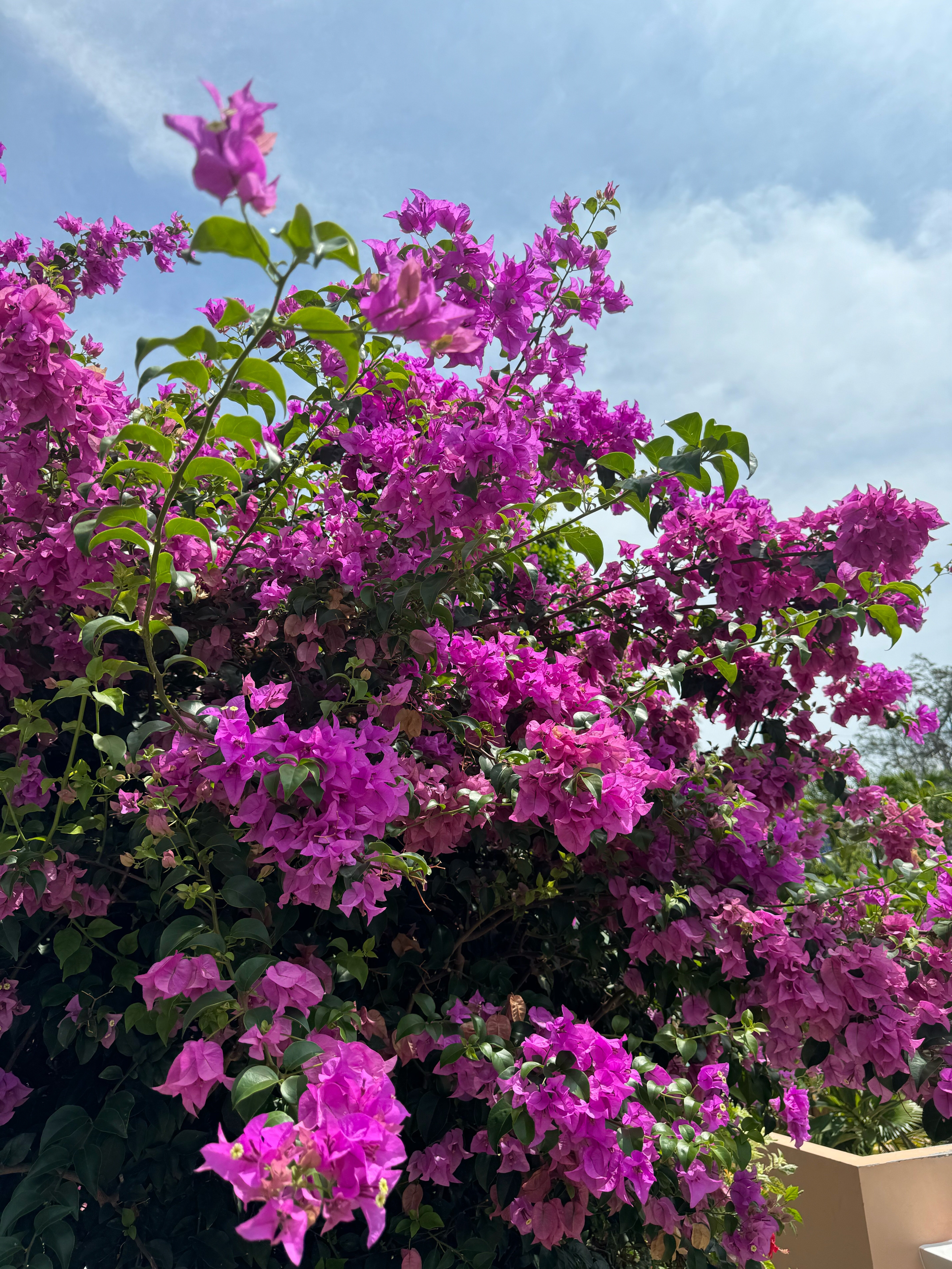 Фото Пхукет Голден Сэнд Инн