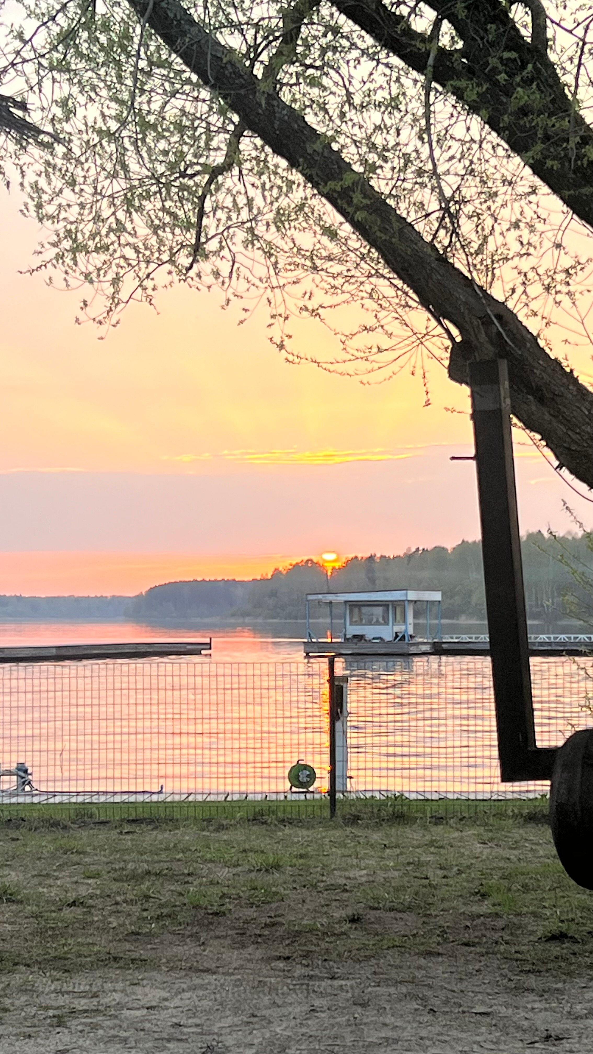 Фото Веточка