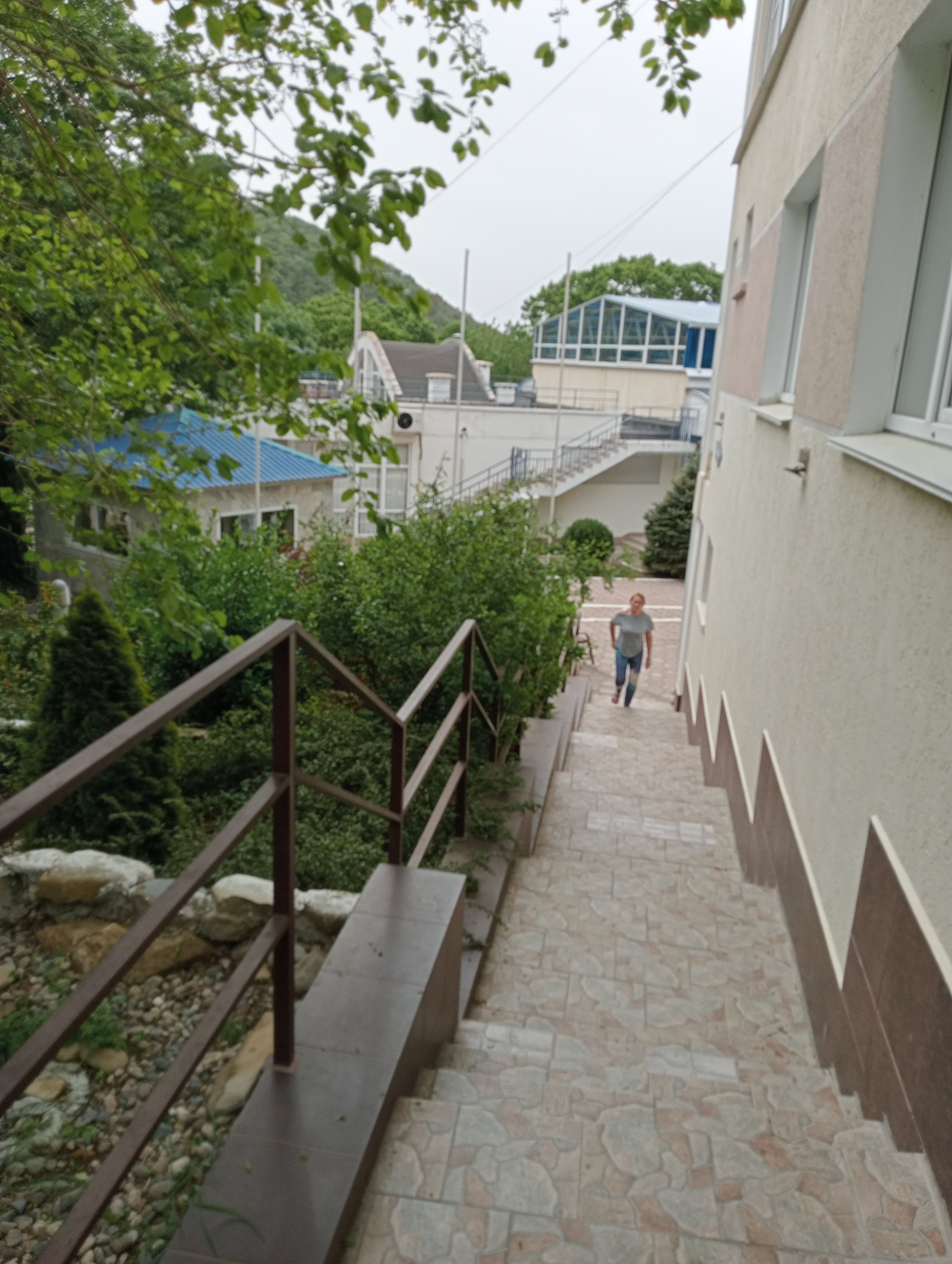 Фото Звёздный