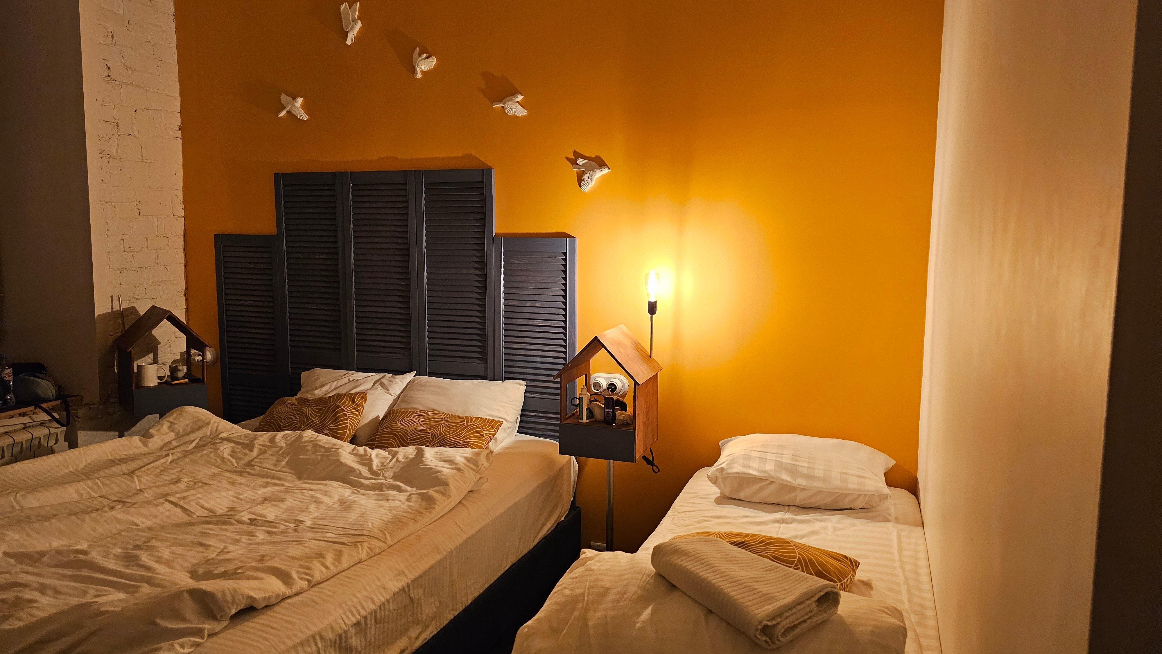 Фото Птица-Синица