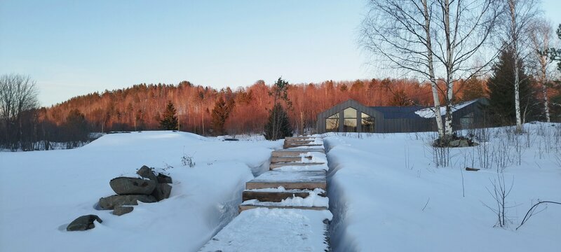 Фото Лунный свет