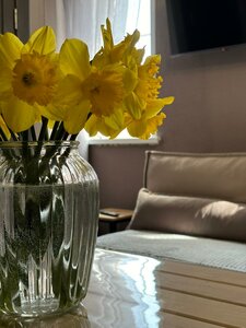 УютДом