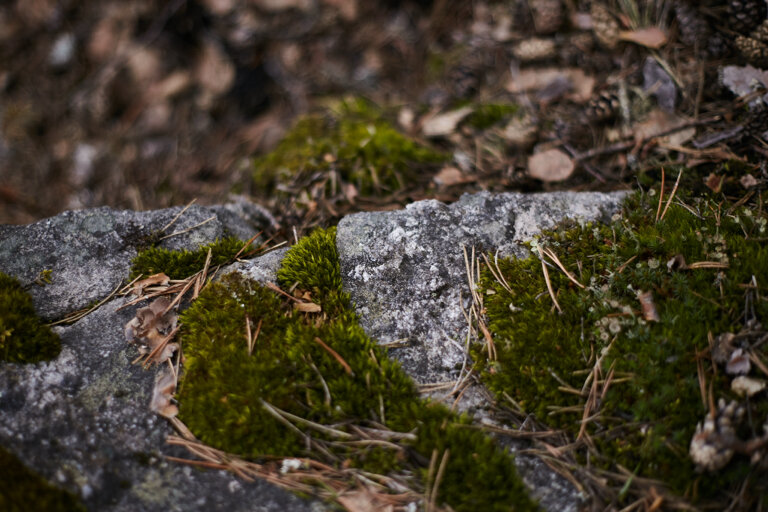 Фото Krasota Scape