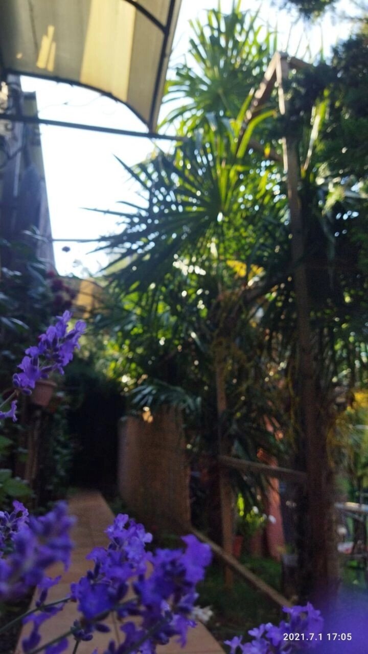 Фото Арт дача