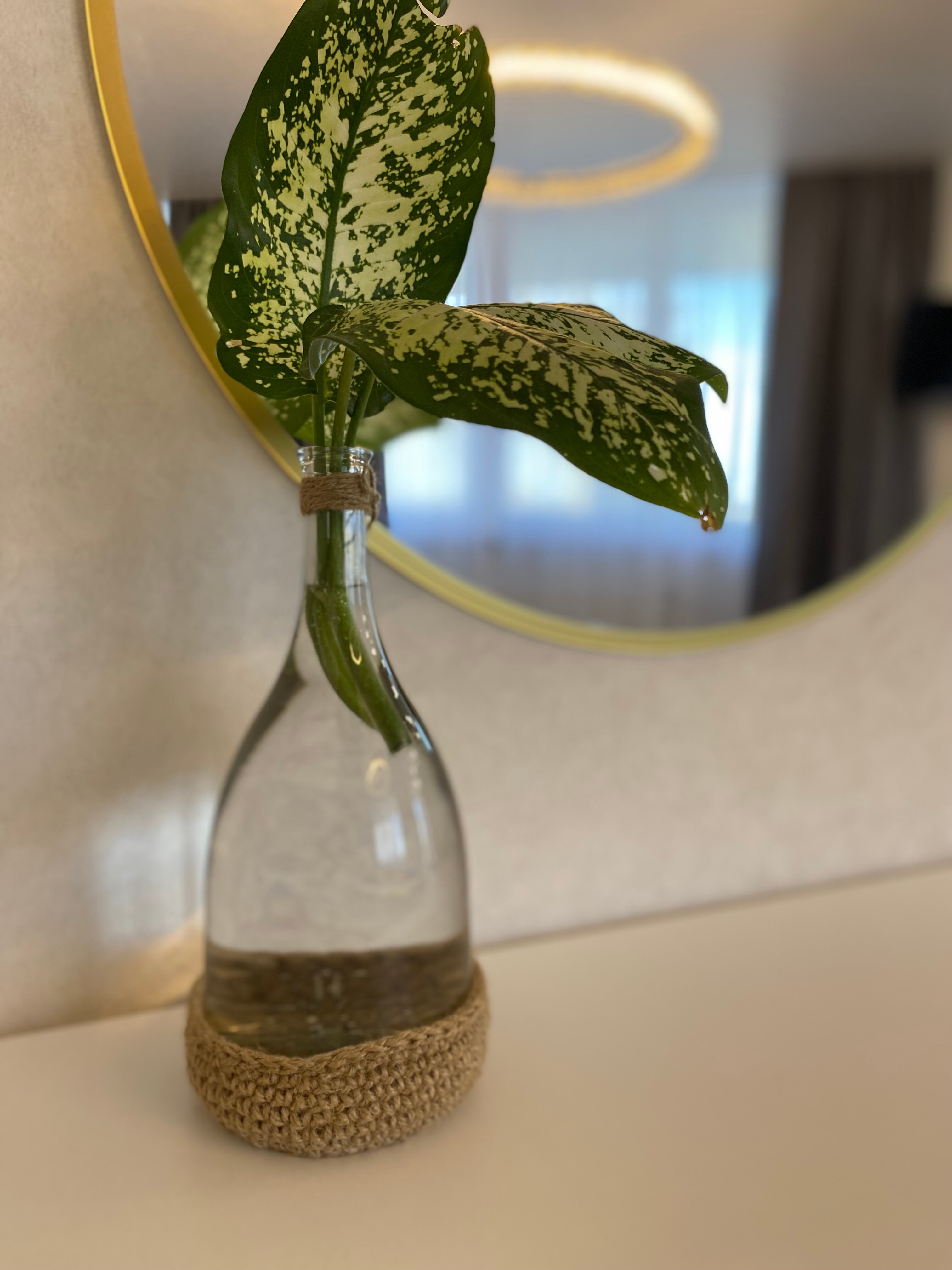 Фото Апартаменты у моря