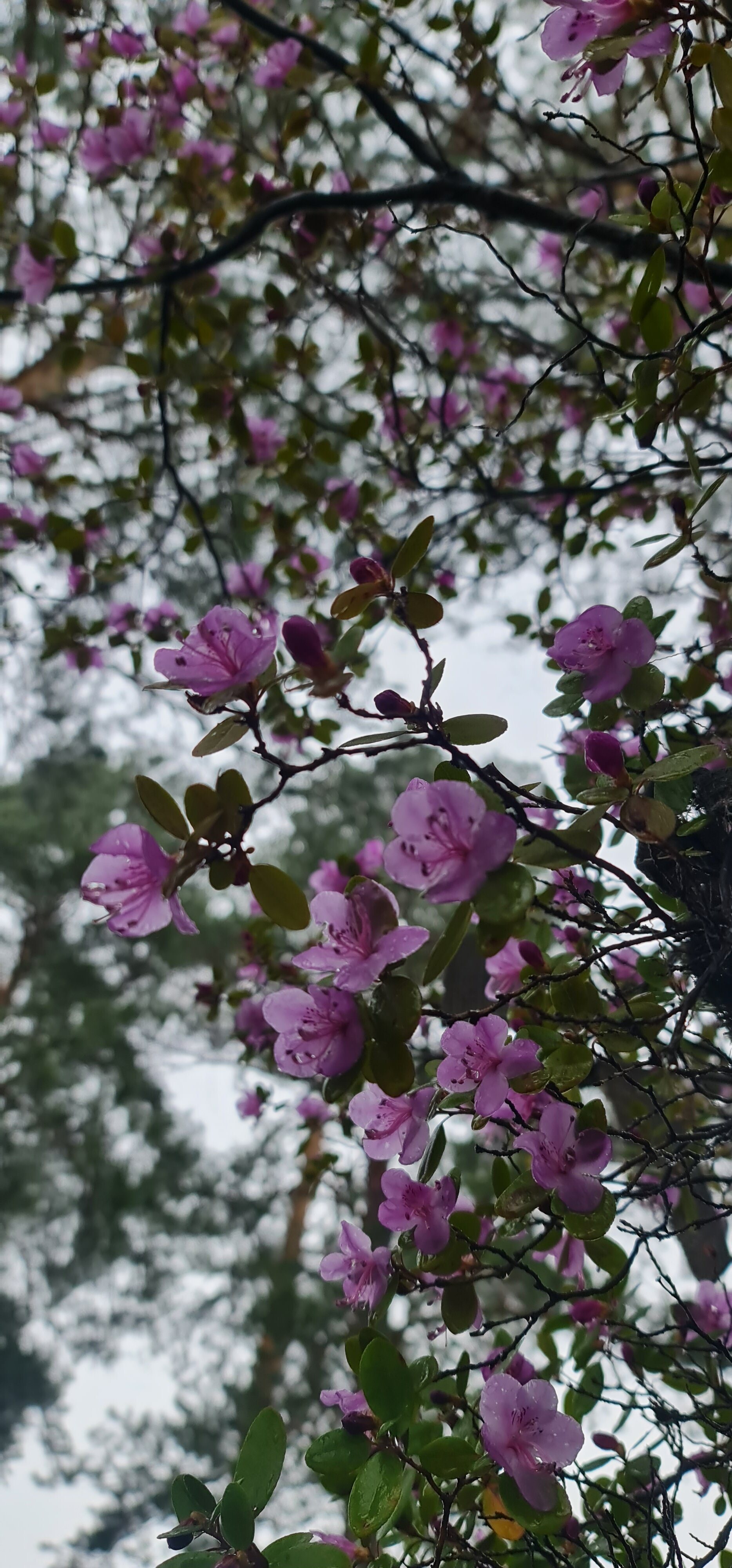 Фото На берегу