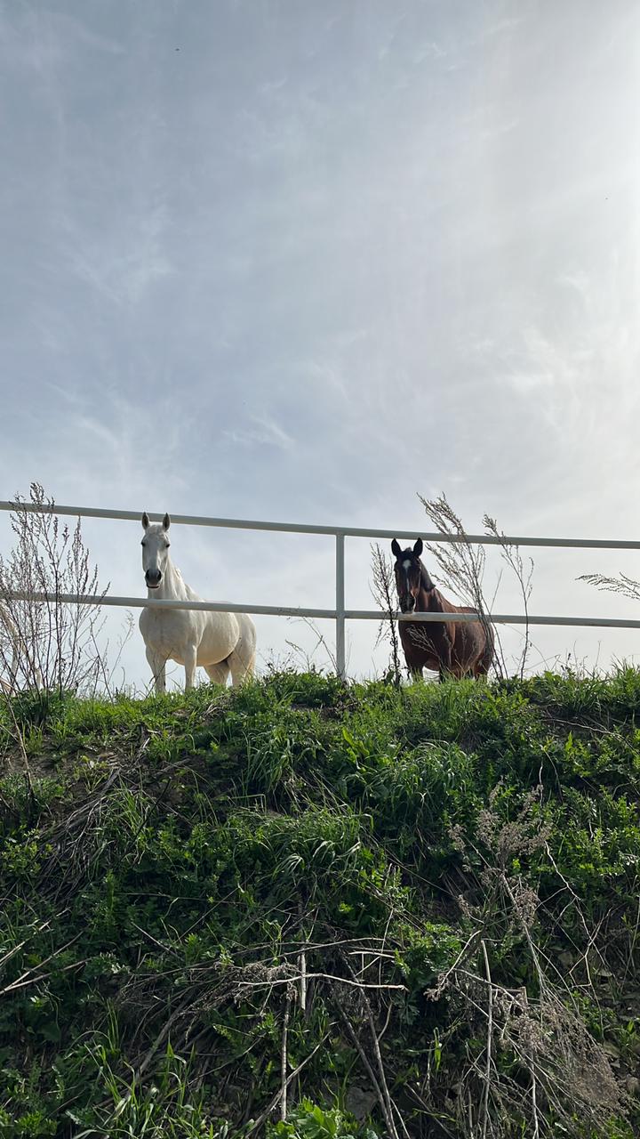 Фото Казачий Хутор