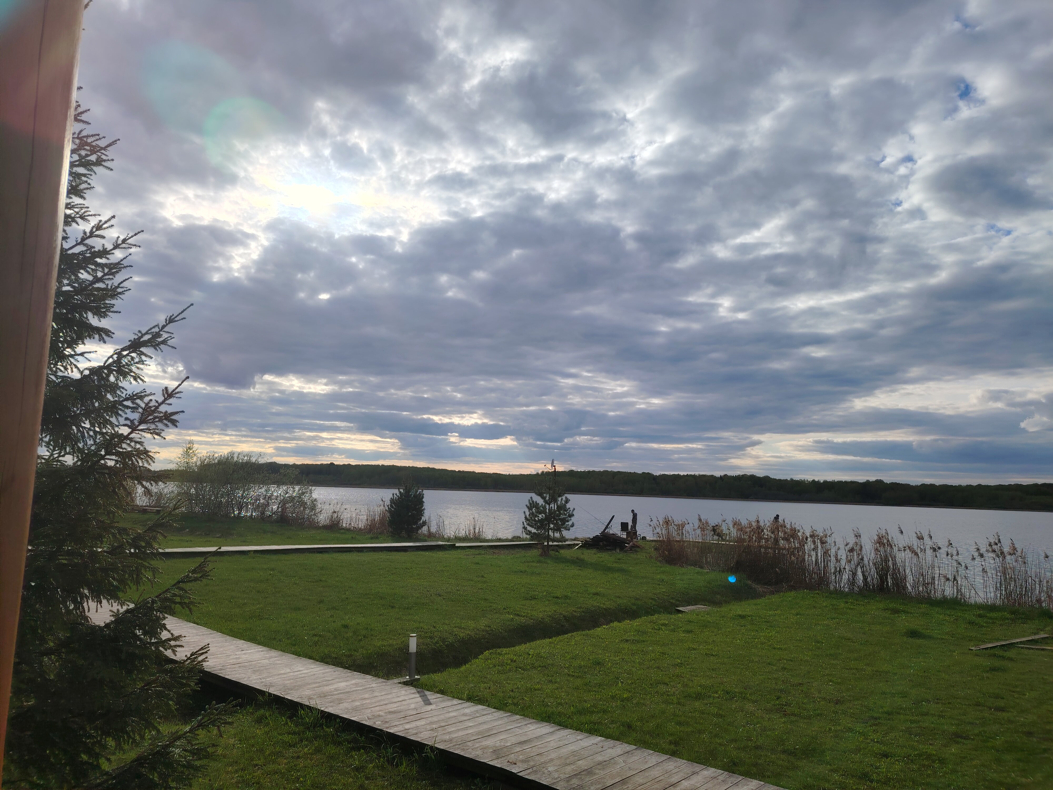 Фото Белая цапля