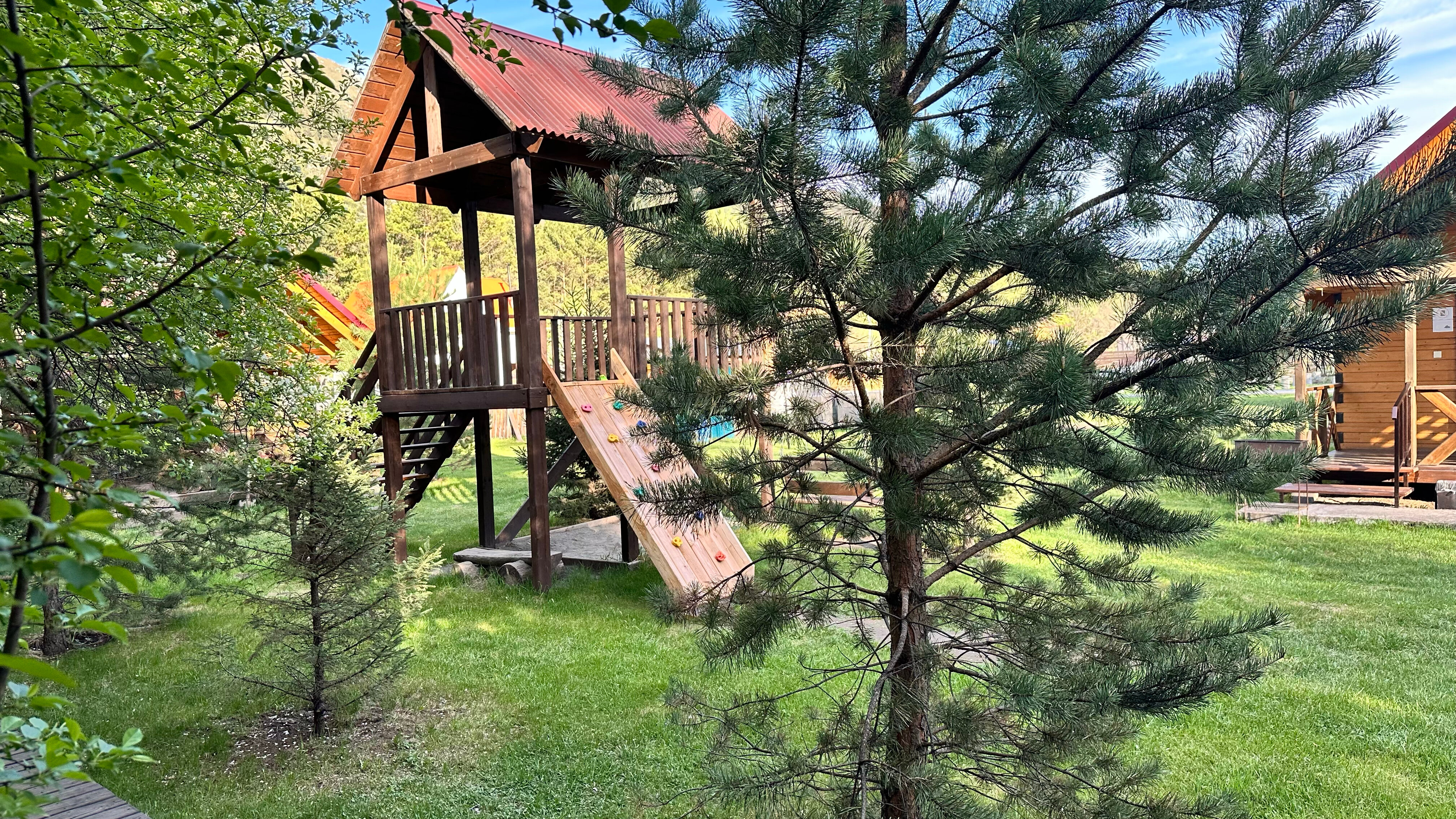 Фото Чемальское лето