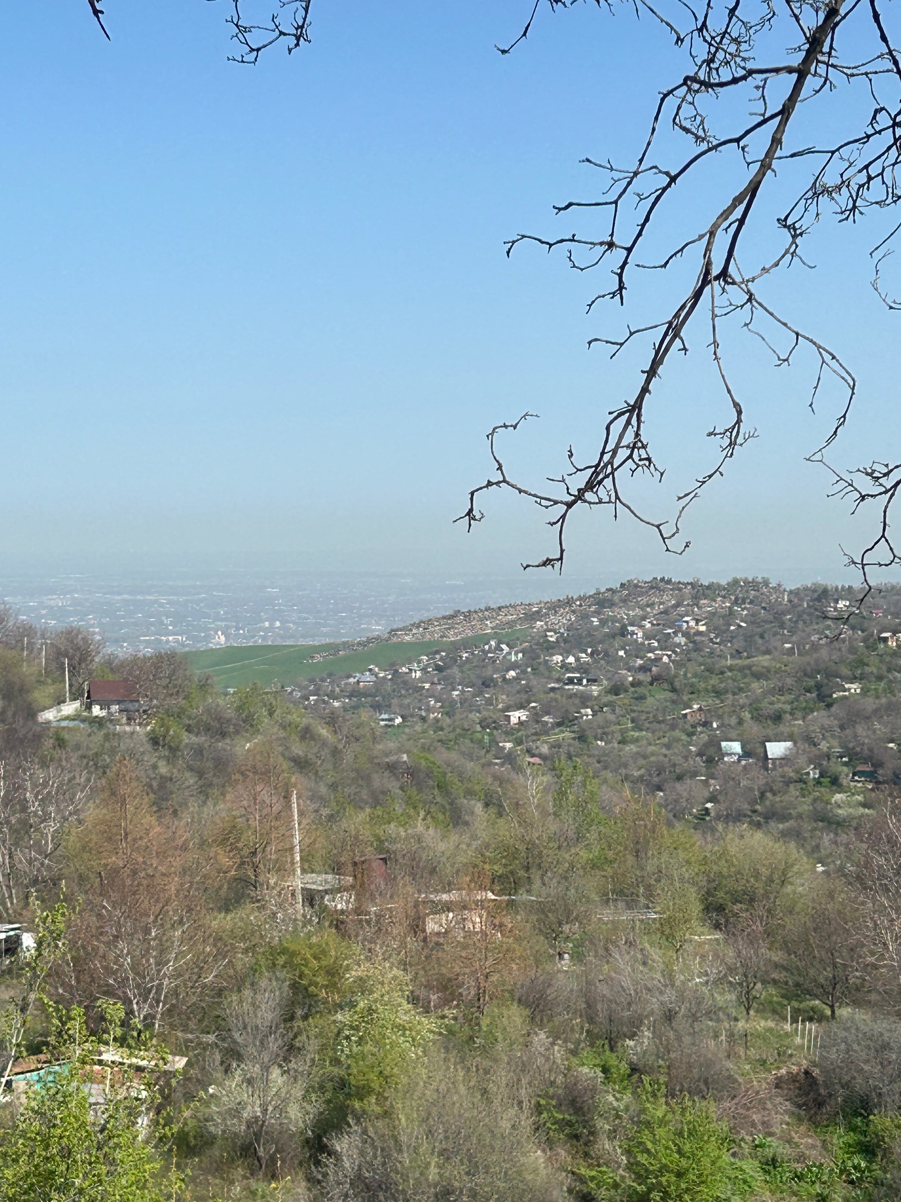 Фото Apple Resort