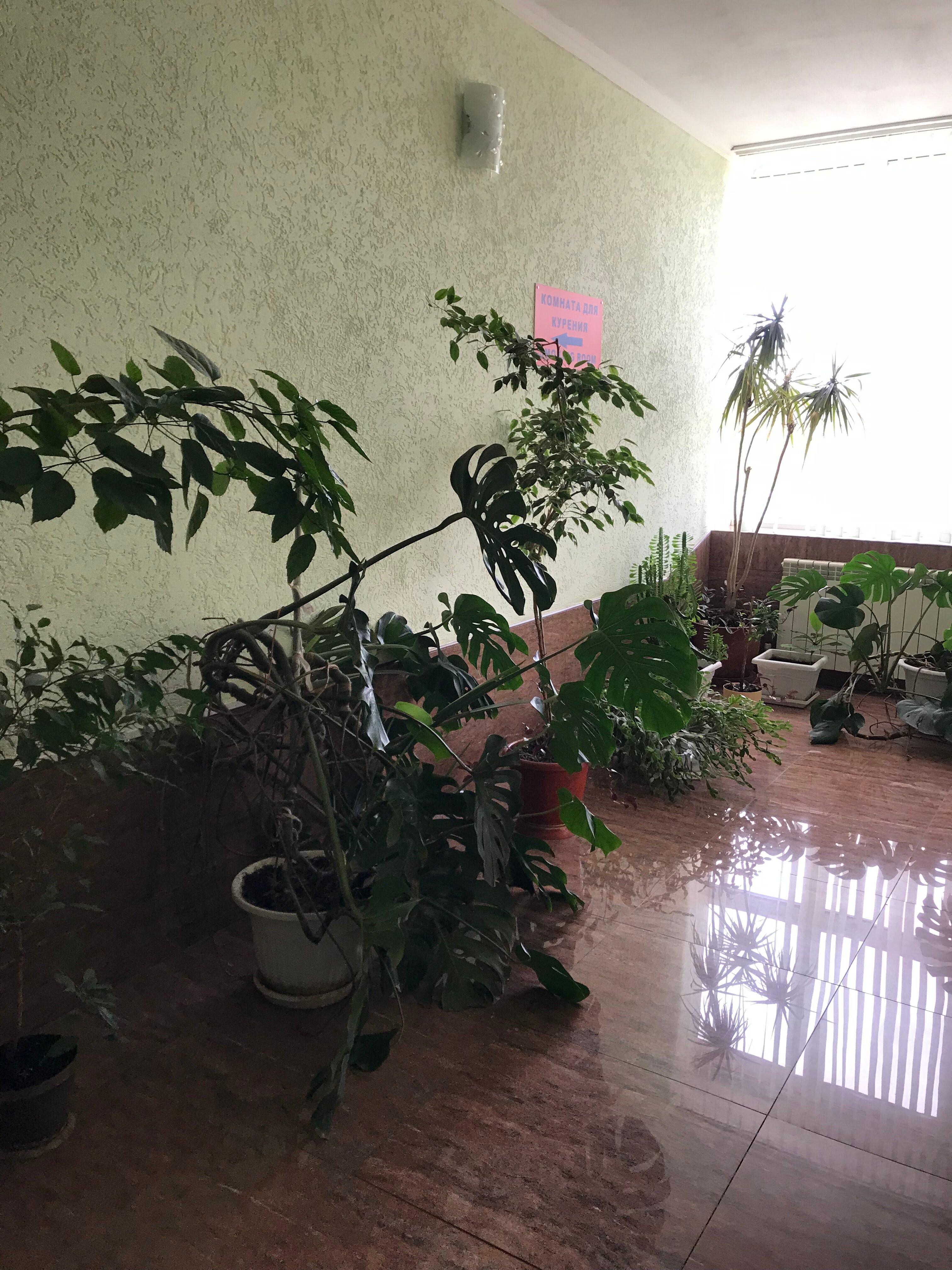 Фото Нев Отель