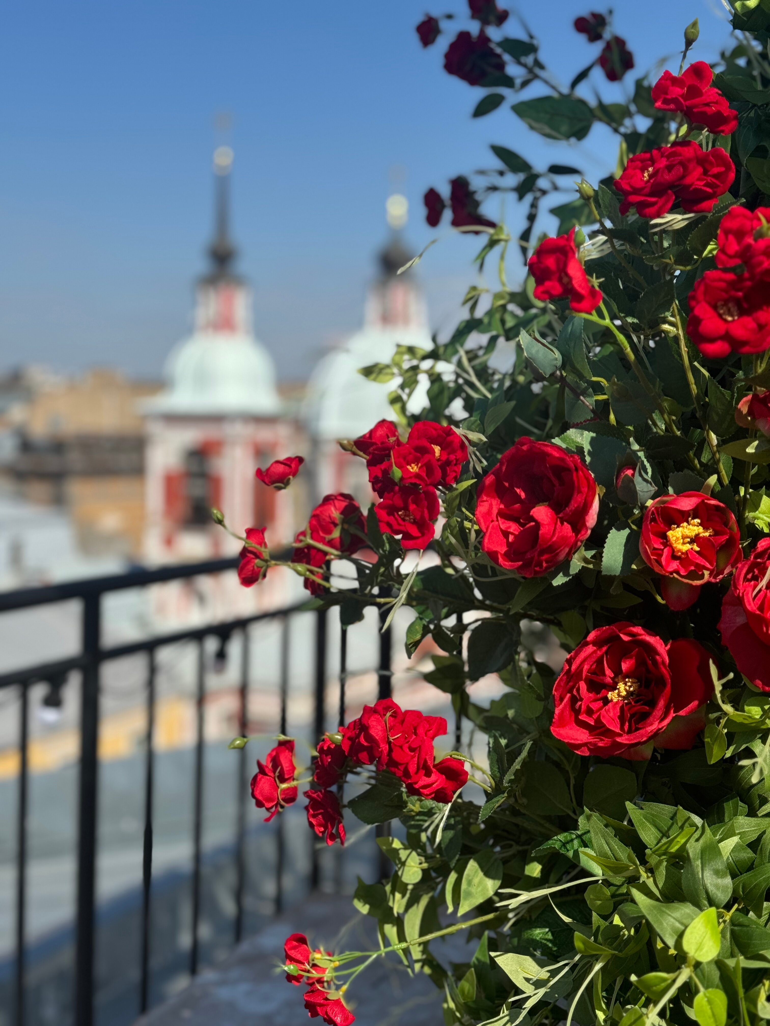 Фото Оболенский