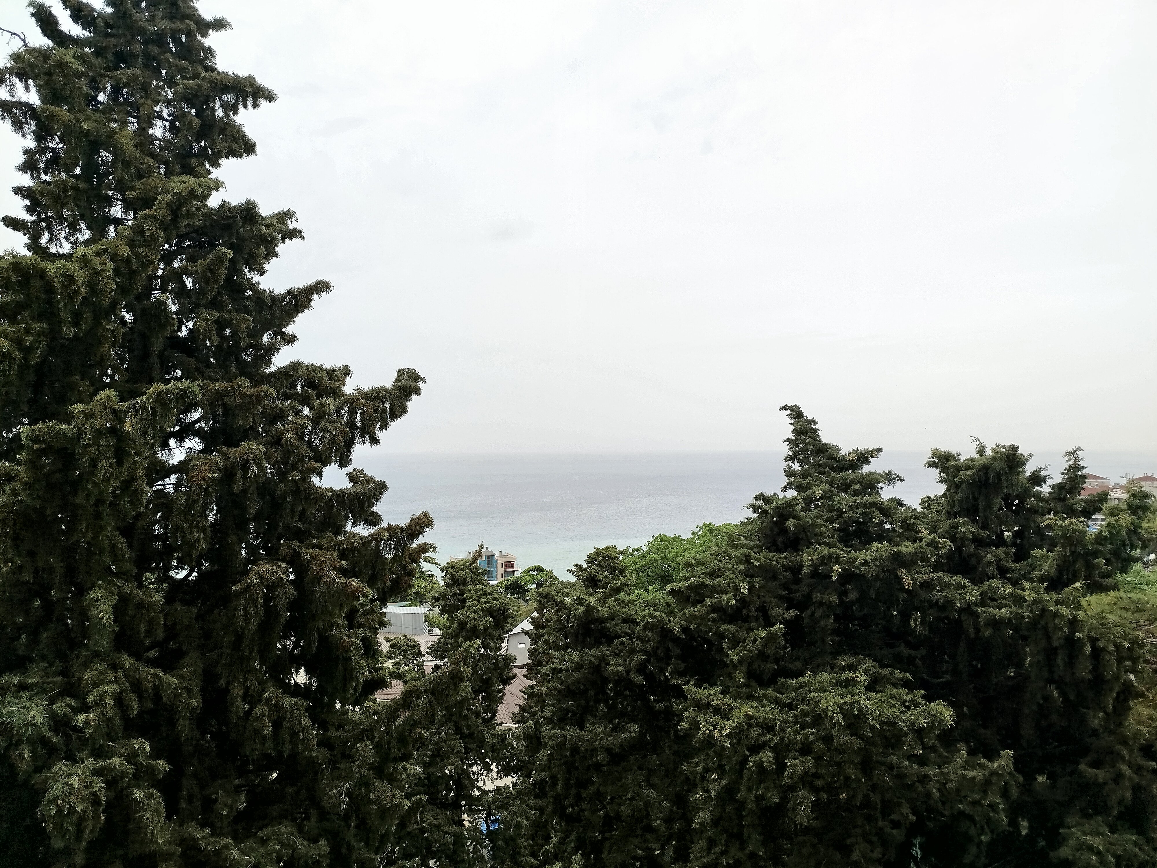 Фото Кайрос