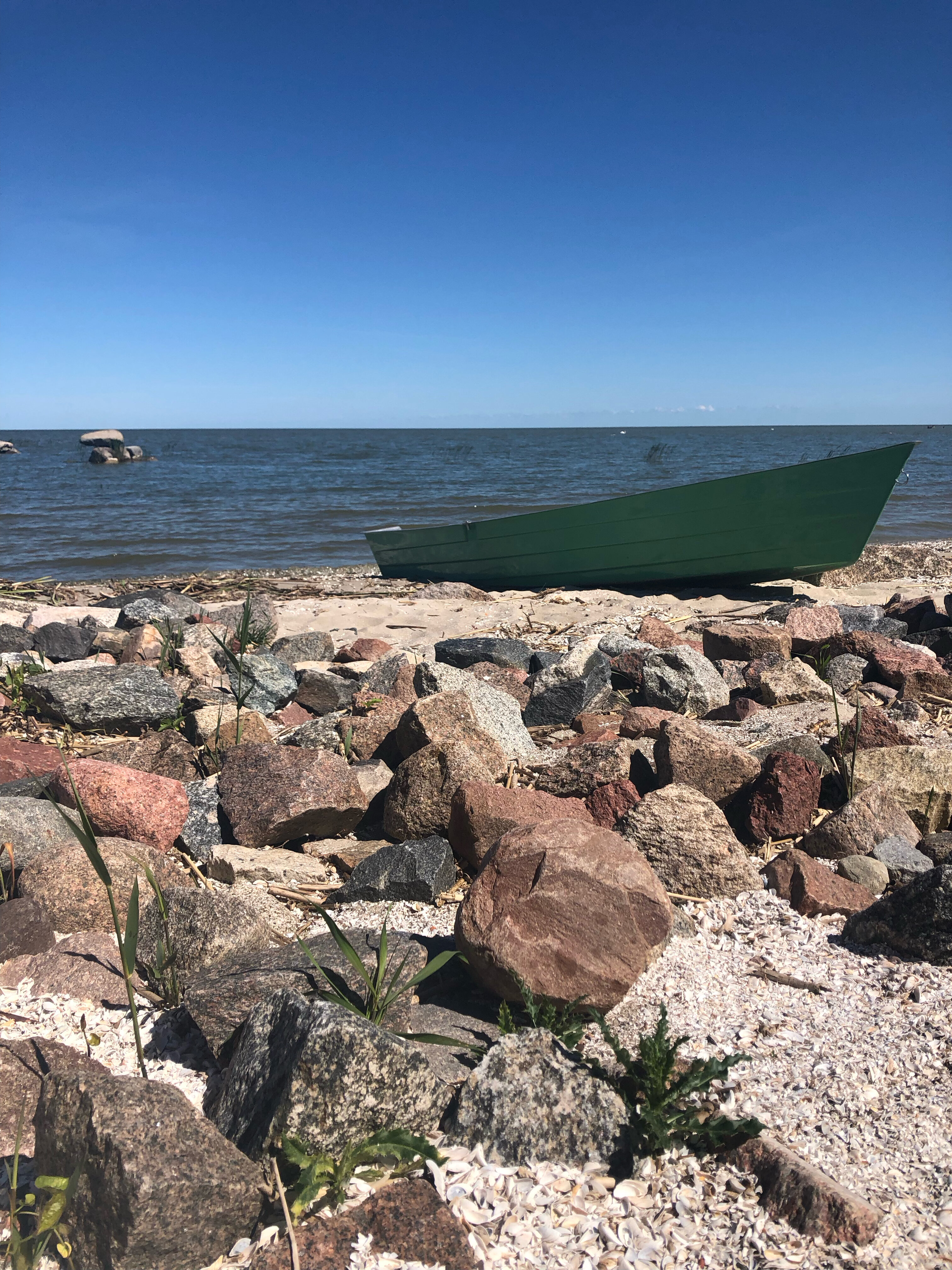 Фото Липовый Парк