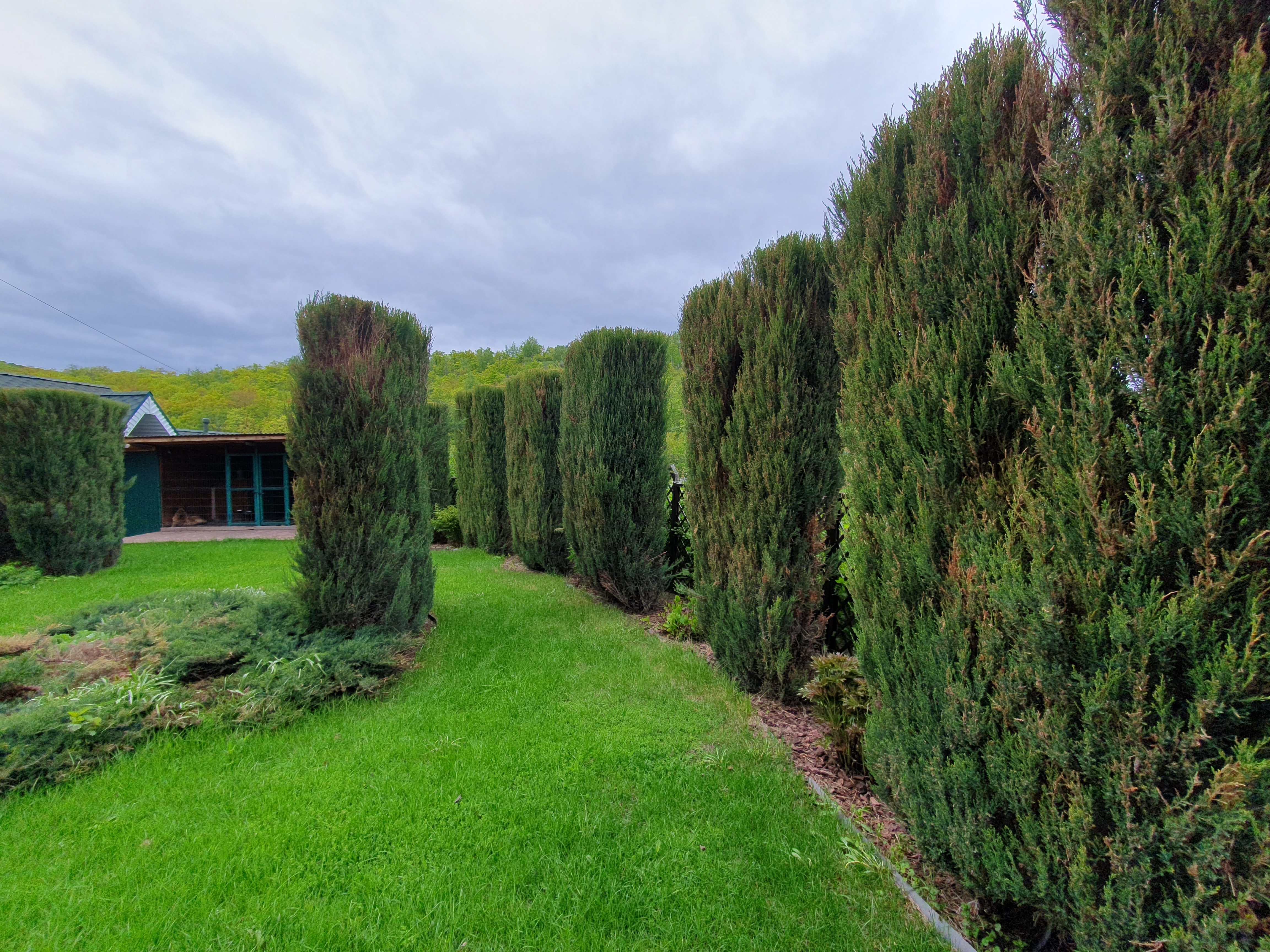 Фото Мелодия Жигулей