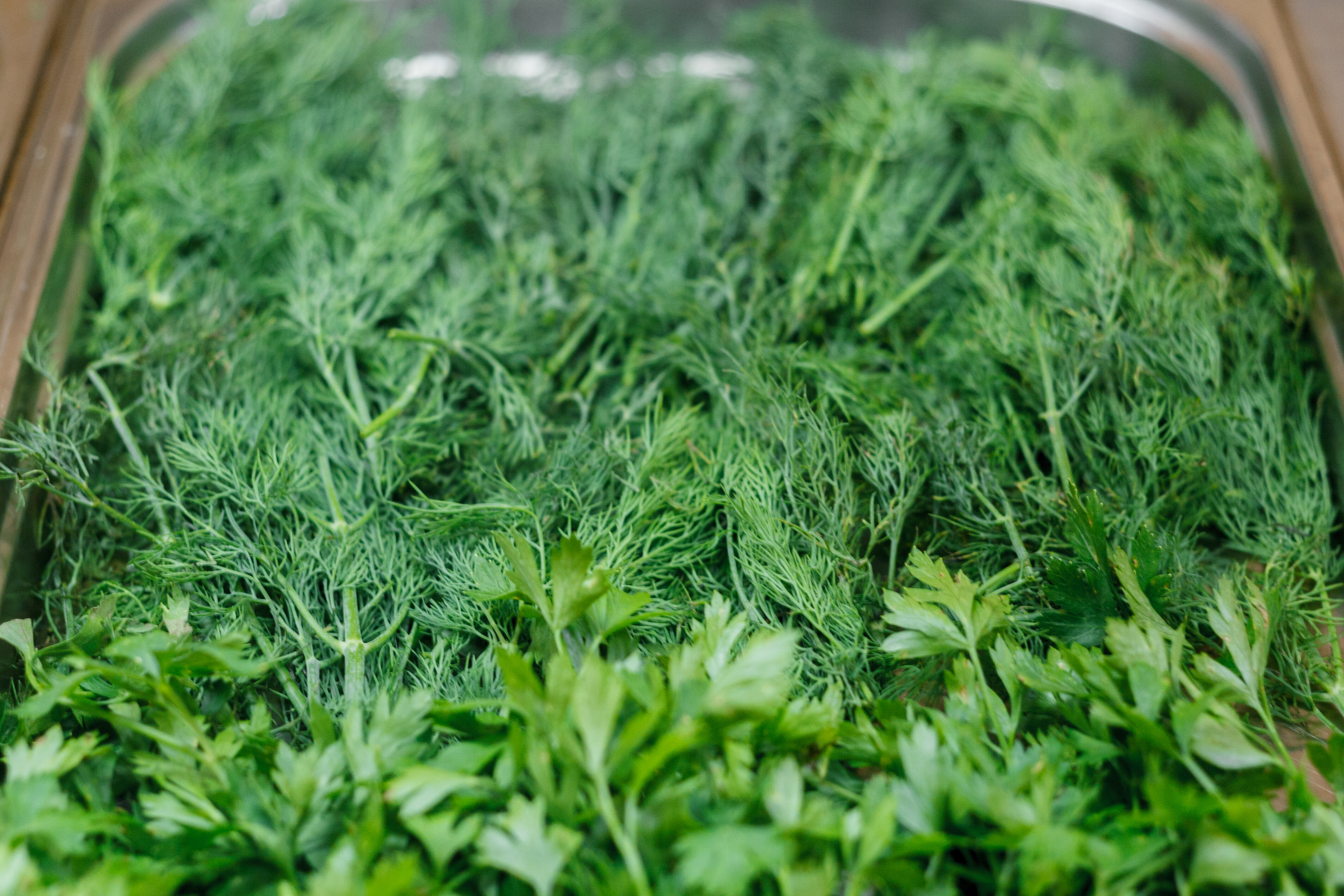 Фото Спутник