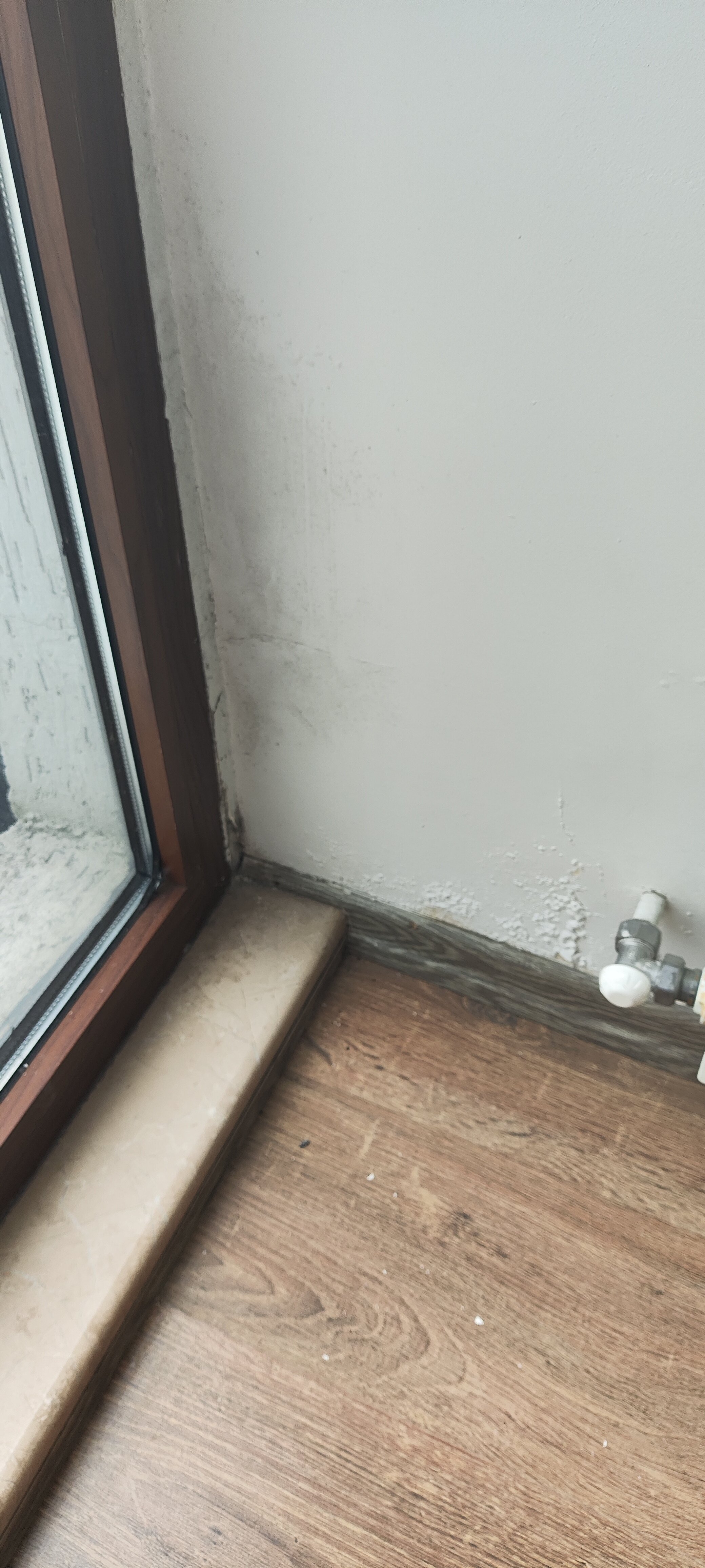 Фото Dream Tower