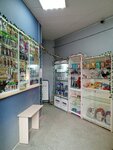 Kotofei (ulitsa Kostycheva, 42А), tienda de animales