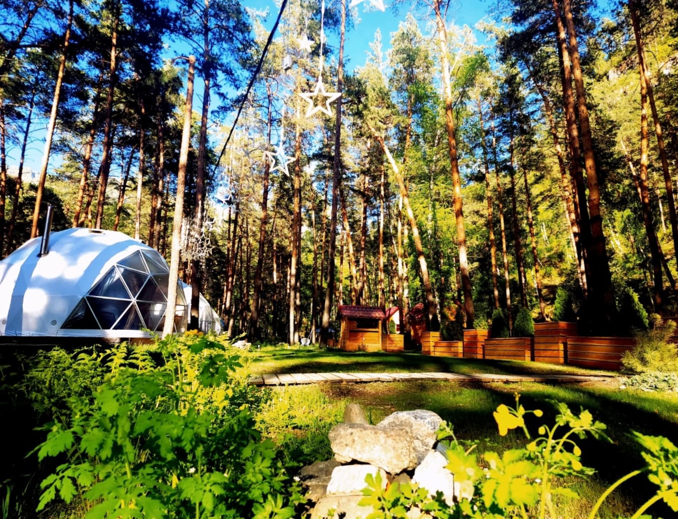 Фото Купольная база Royal Forest