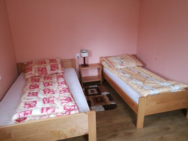 Фото Дельфин